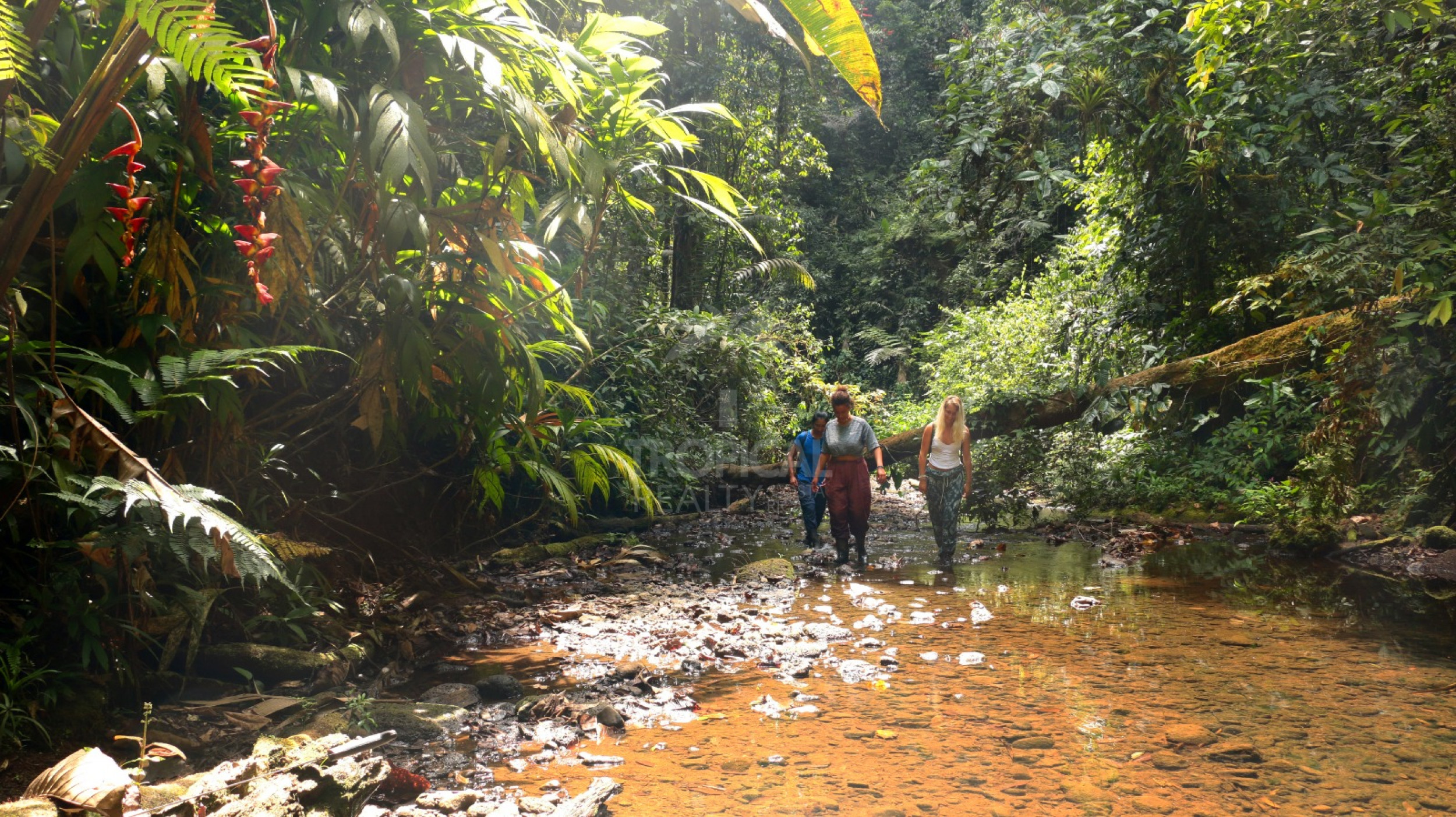 For Sale: Nature Lover’s Paradise in Sarapiquí – 24.7 Acres with Two Rivers | Bijagual, Heredia