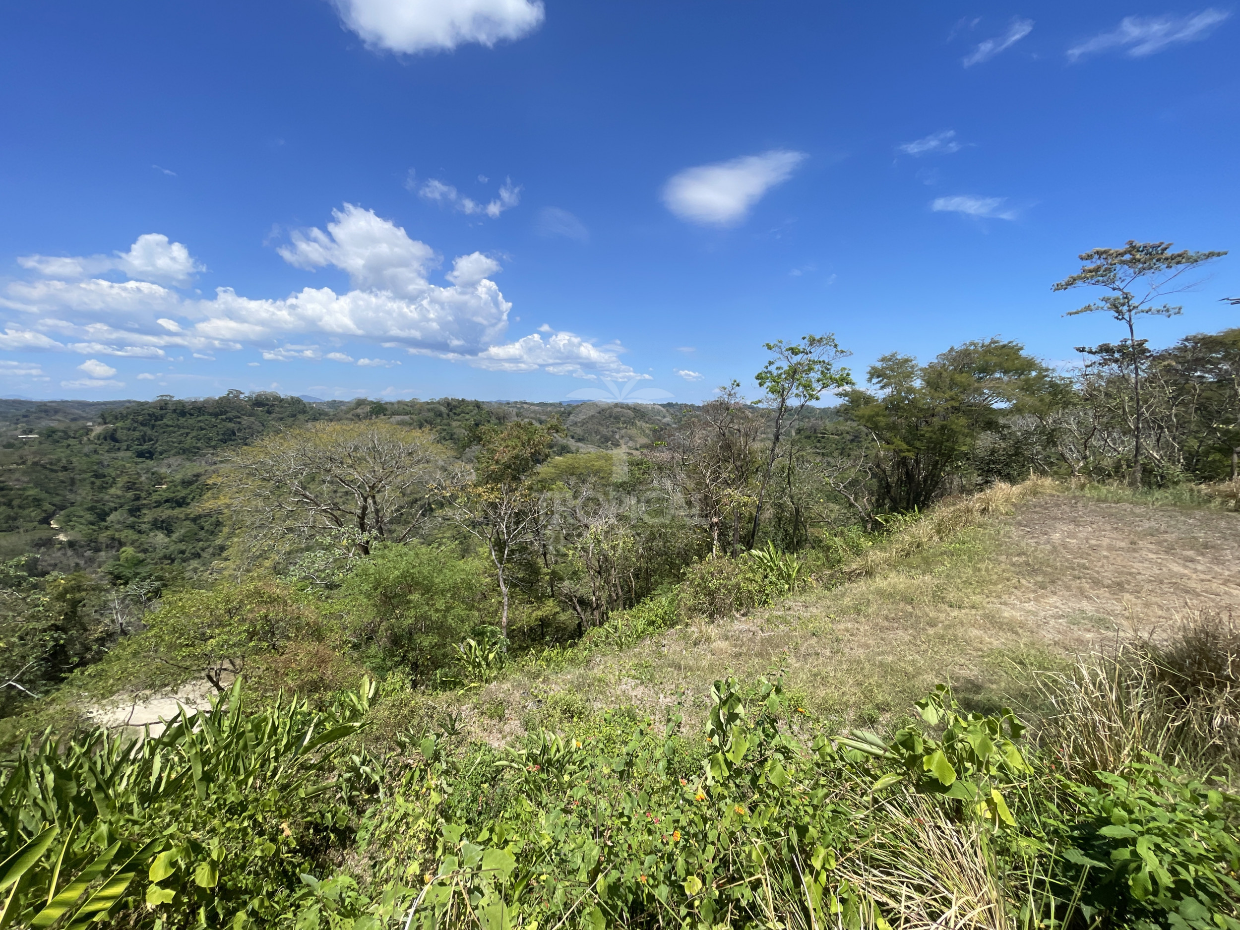 Ocean-View Lot in Malpais – Ready to Build with Electricity & Legal Well! SOLD
