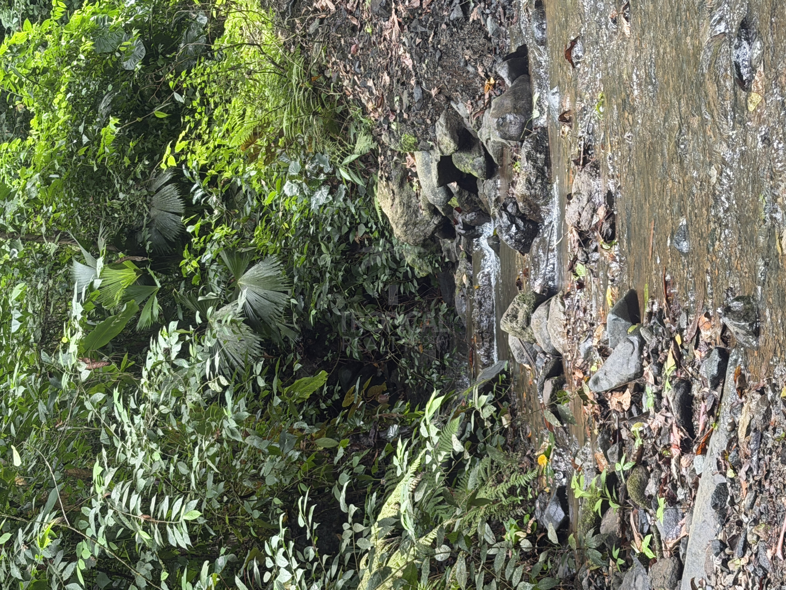 210-Hectare Farm for Sale in Tulín, Puriscal | 519 acres