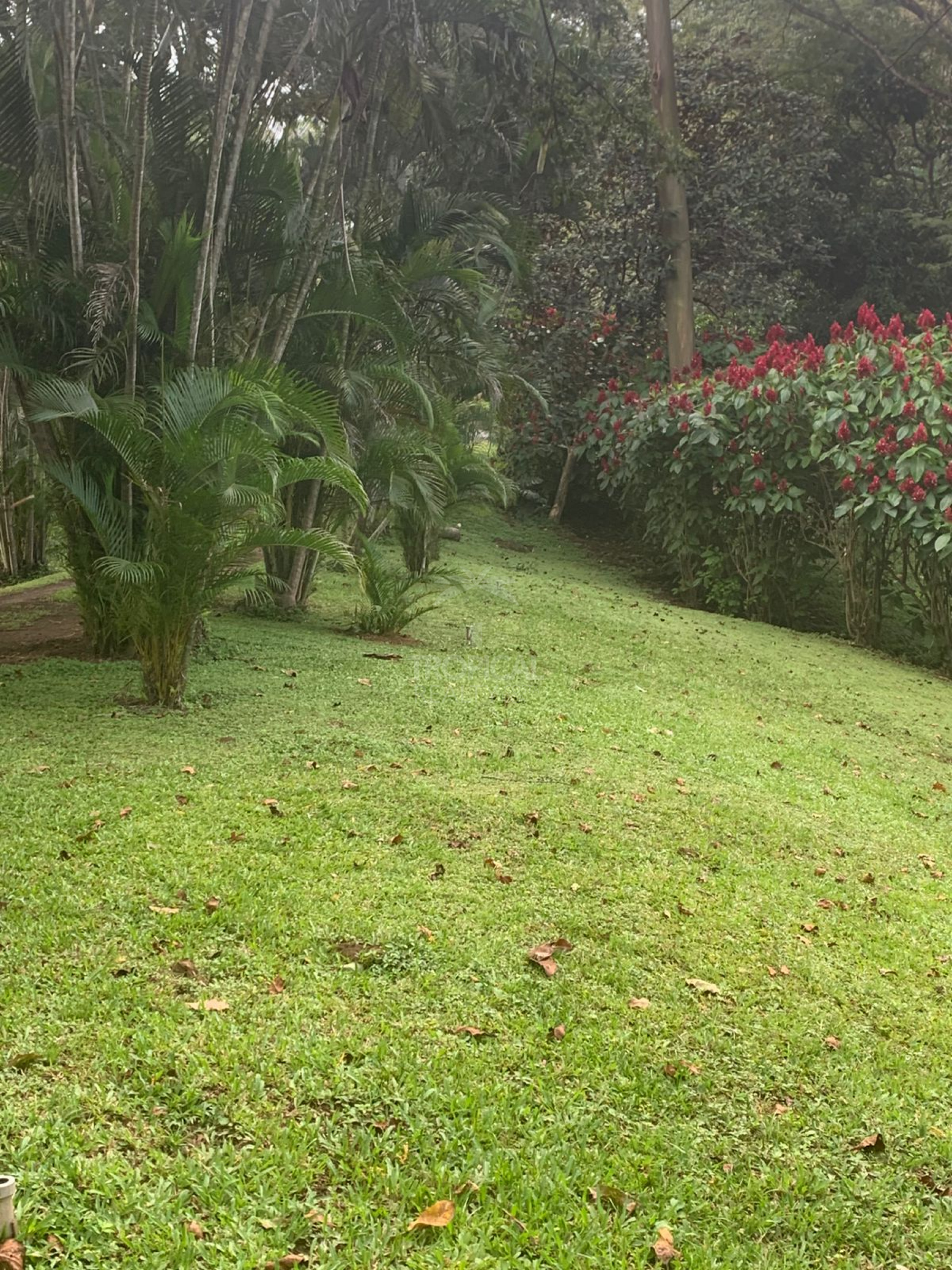 Farm for Sale in Turrúcares – Riverfront with Pools & Ecotourism Potential