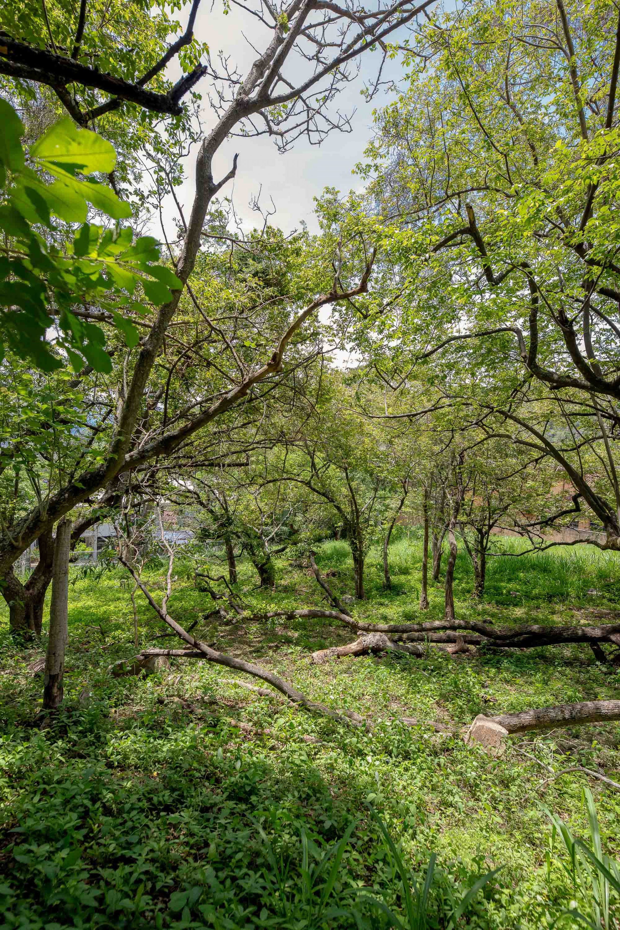 Residential Private Lush Lot in Rio Oro , Santa Ana