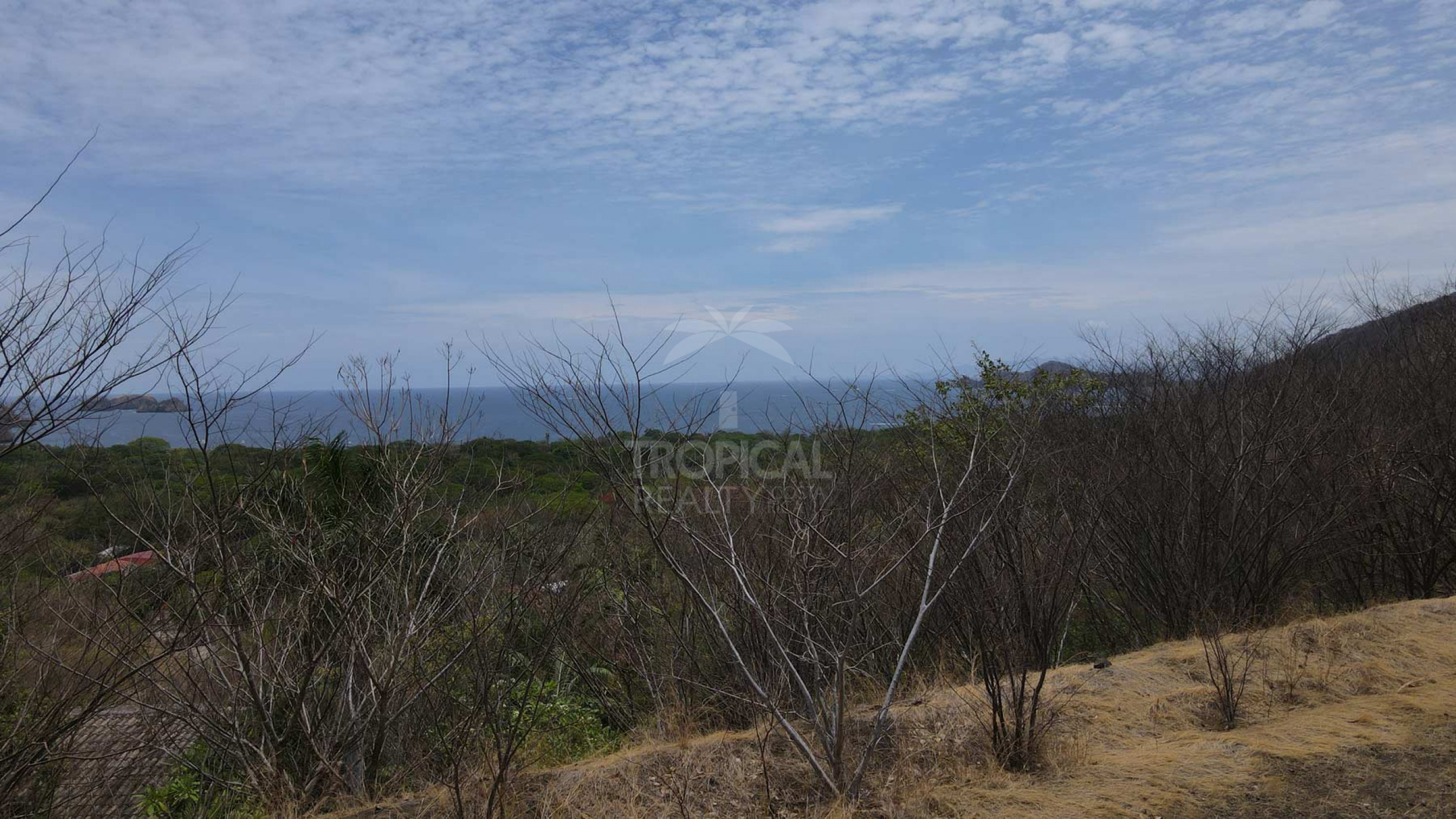 Premium Ocean View Homesite in Alta Vista, Playa Hermosa