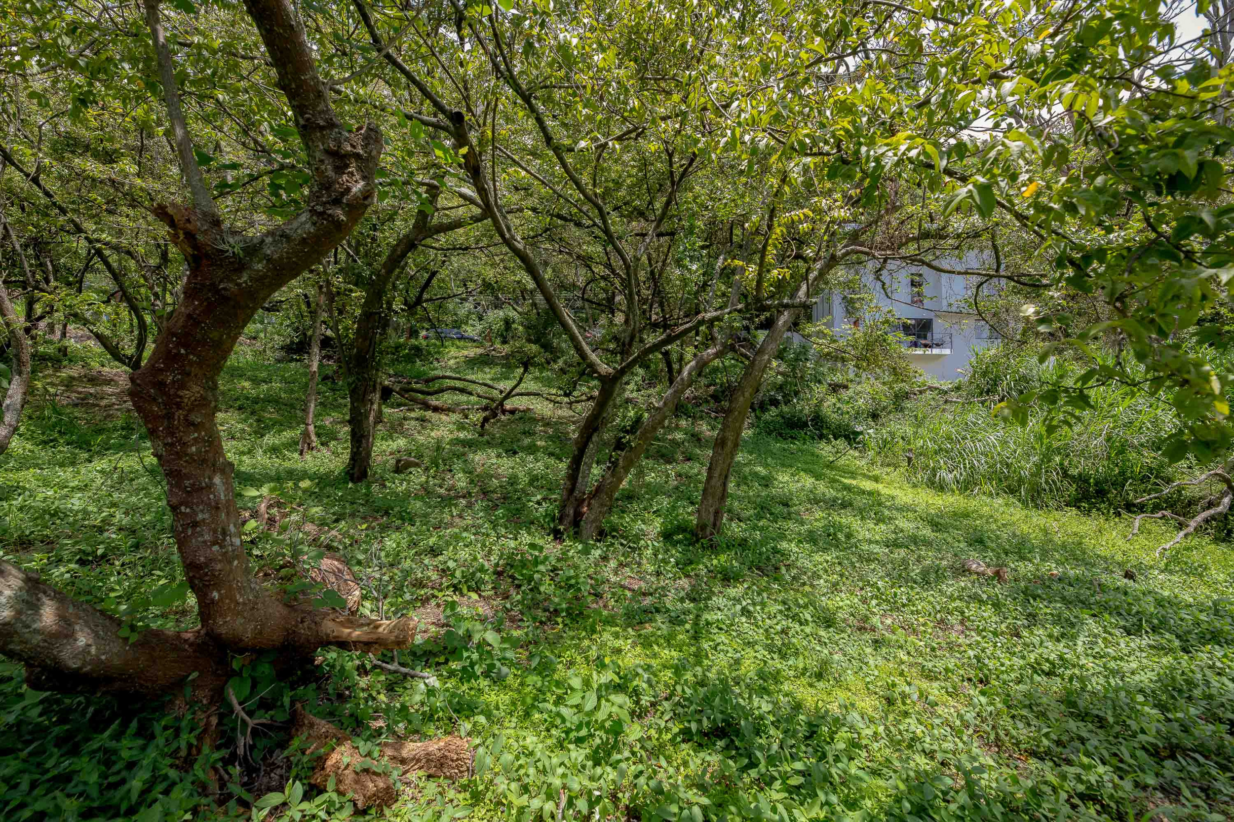 Residential Private Lush Lot in Rio Oro , Santa Ana