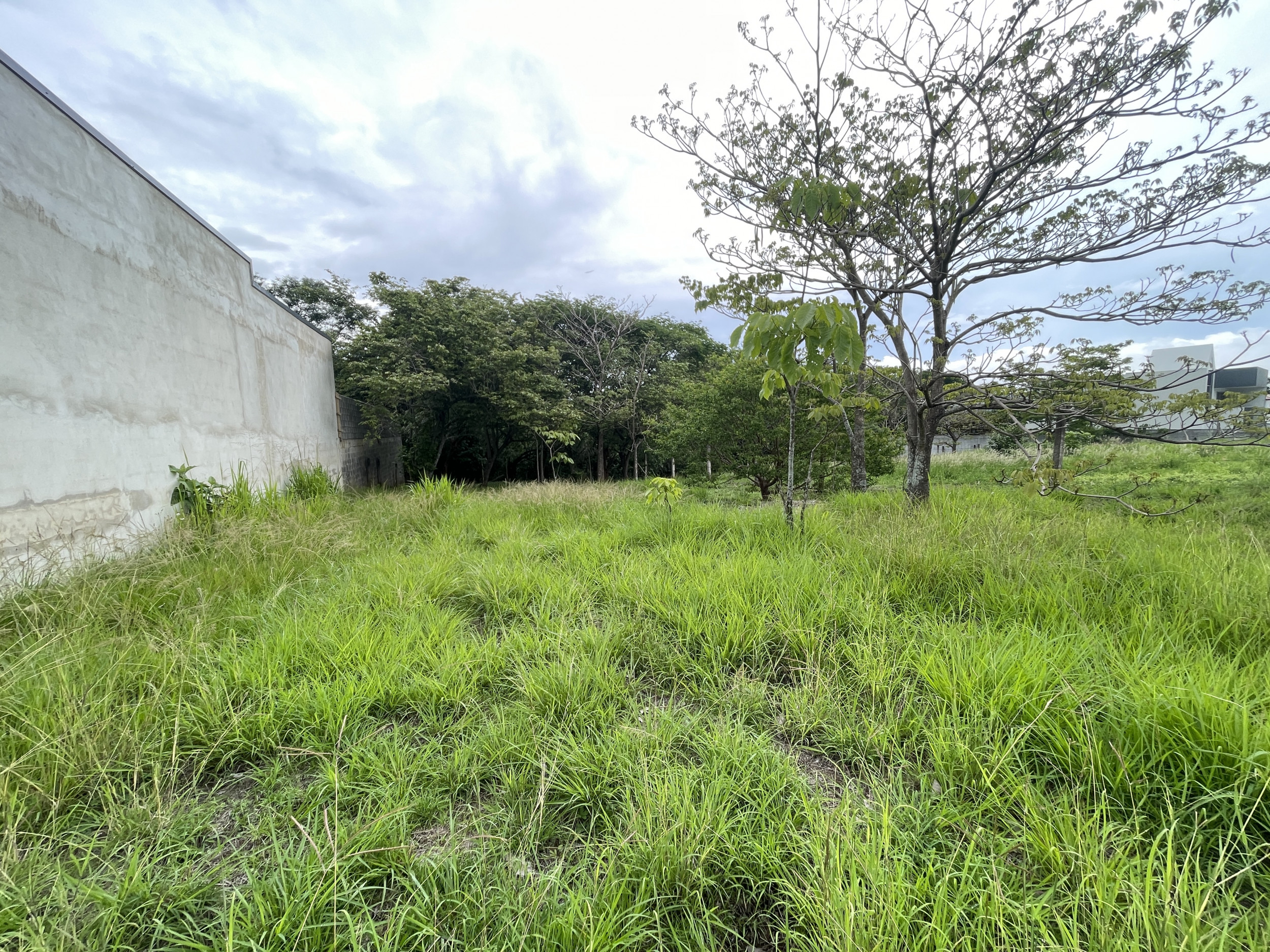 Prime Land for Sale in Santa Ana: Build Your Dream Residence in a High-Value Residential Area
