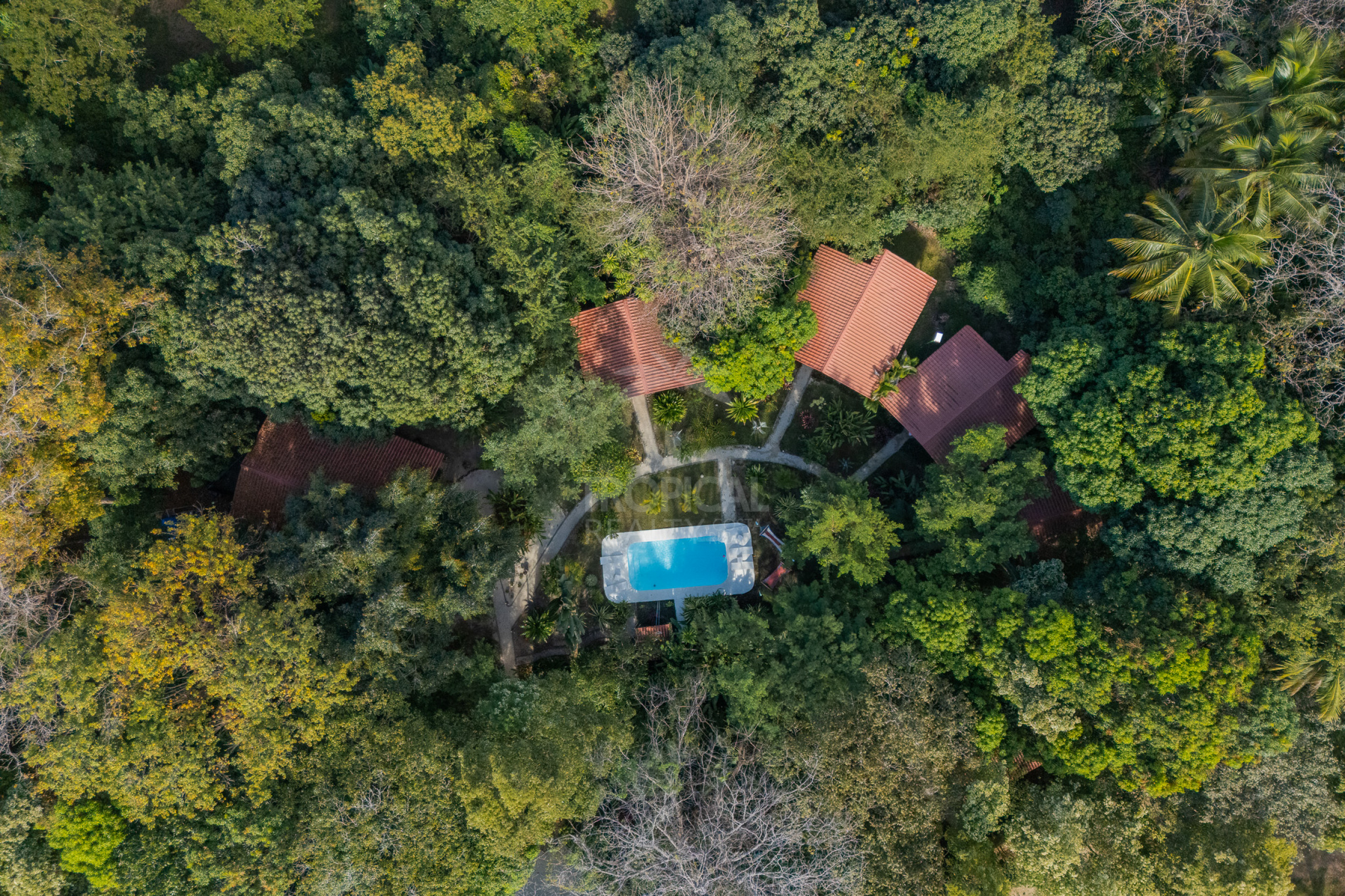 Cabañas en Venta en Montezuma | Inversión Turnkey cerca de Los Cedros