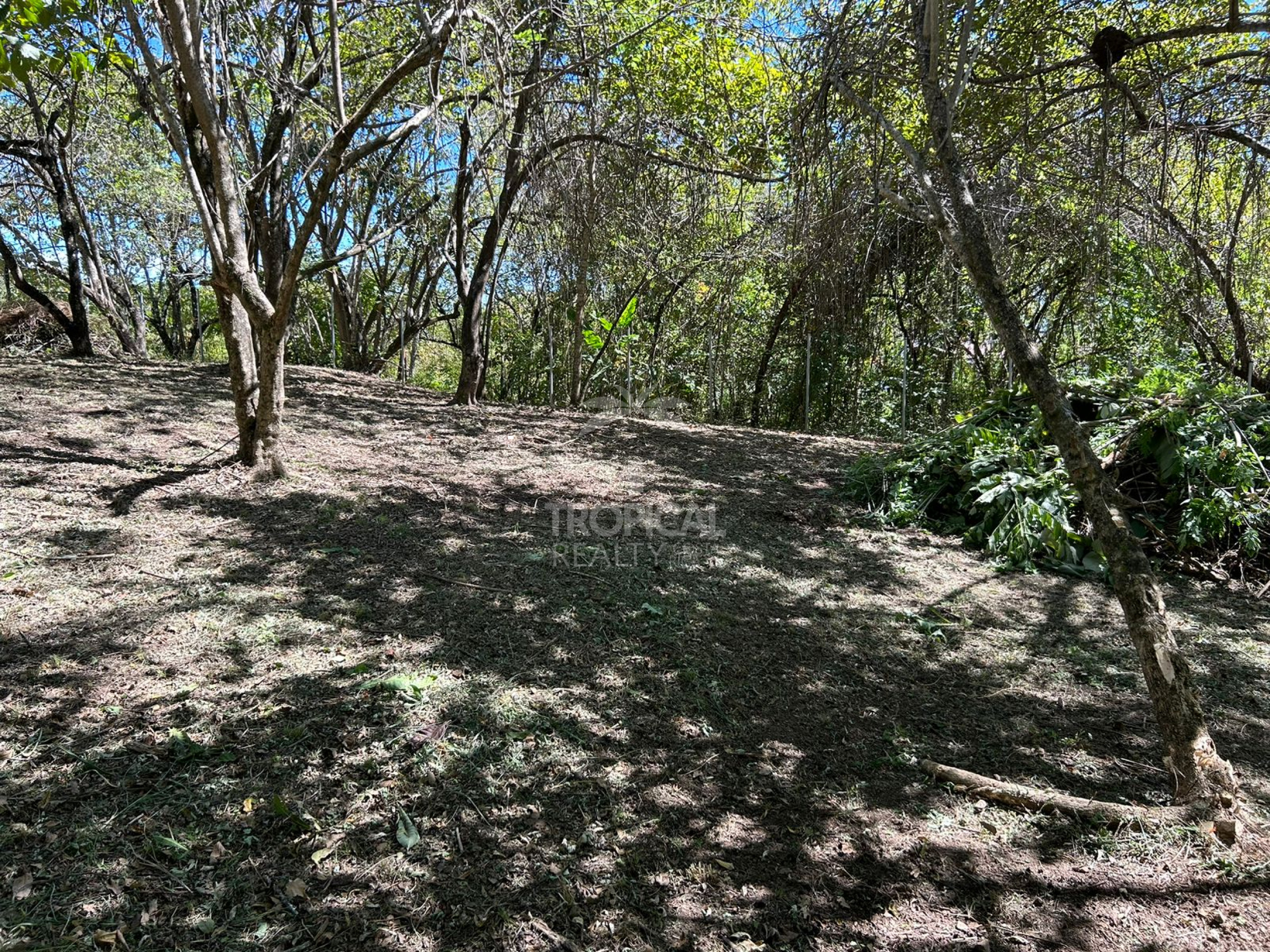 1000m² Lot for Sale in Las Delicias de Cobano: Your Coastal Oasis in Costa Rica.