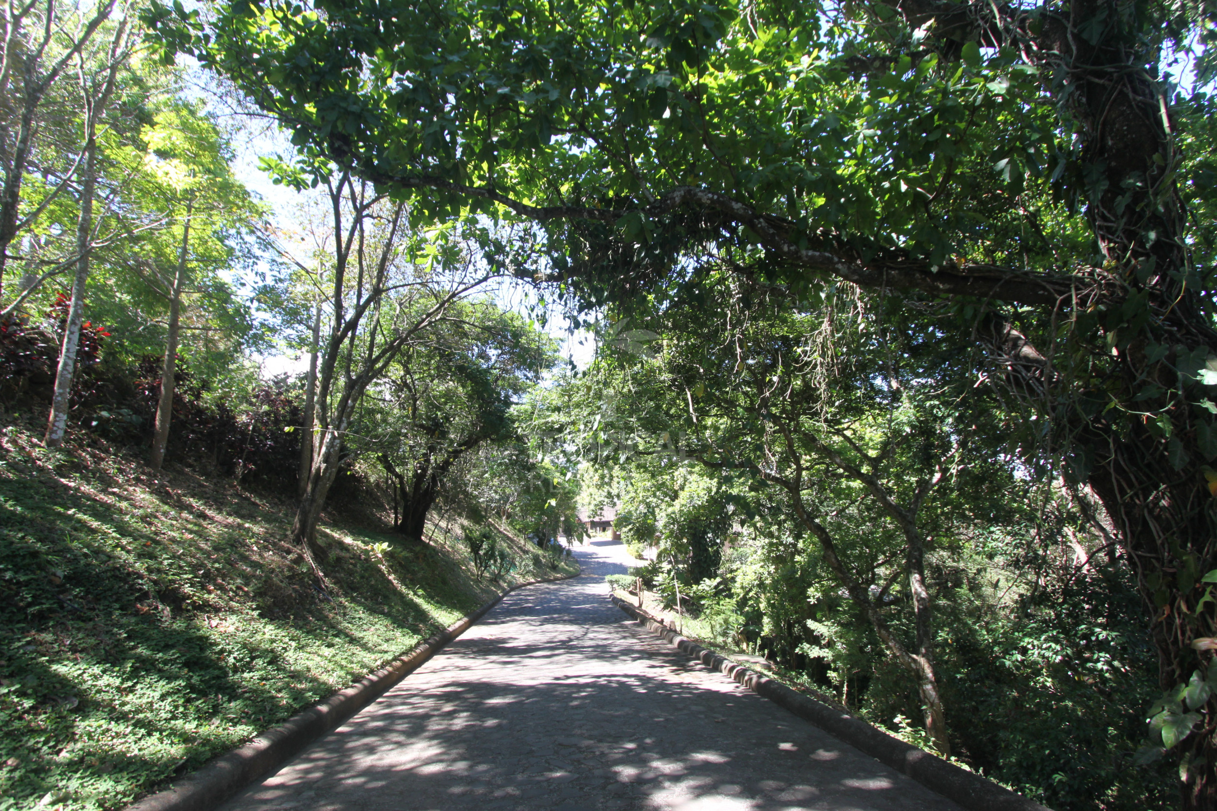 Luxury Home in La Guácima with Private Forest & Panoramic Views