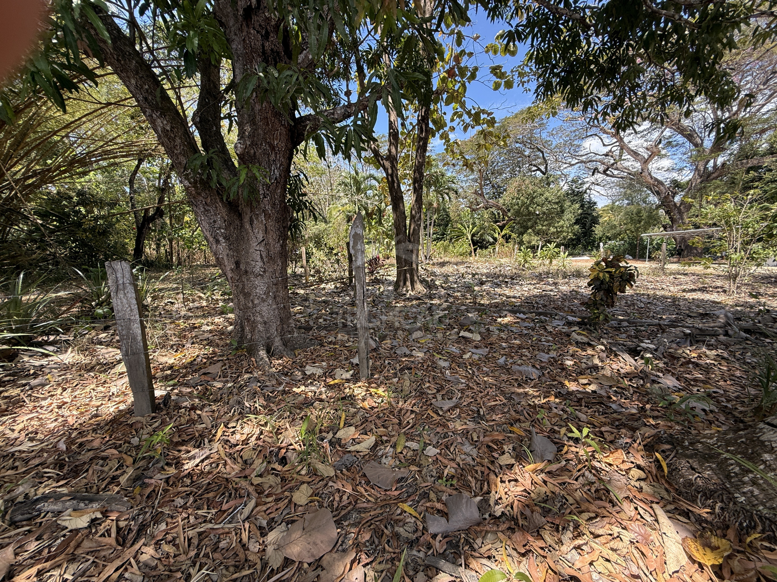 Beachfront Land for Sale, Cabuya | Concessioned Lot Nicoya Peninsula