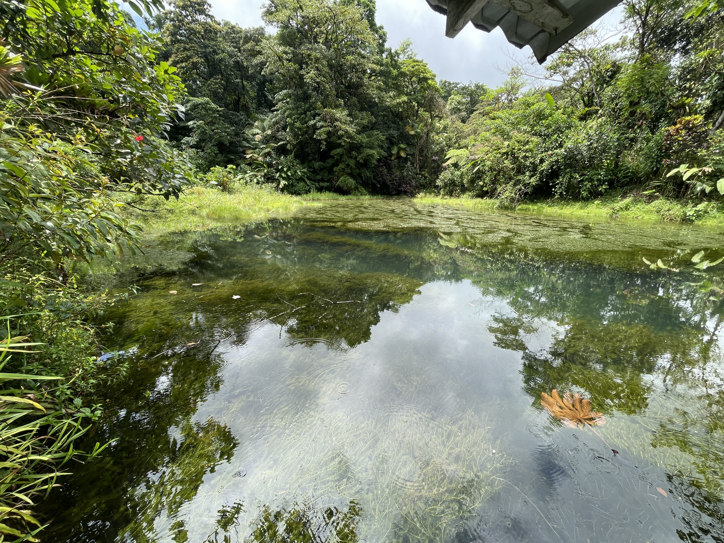 65-Acre Lakeview Property in Nuevo Arenal, Ideal for Family Residential Development