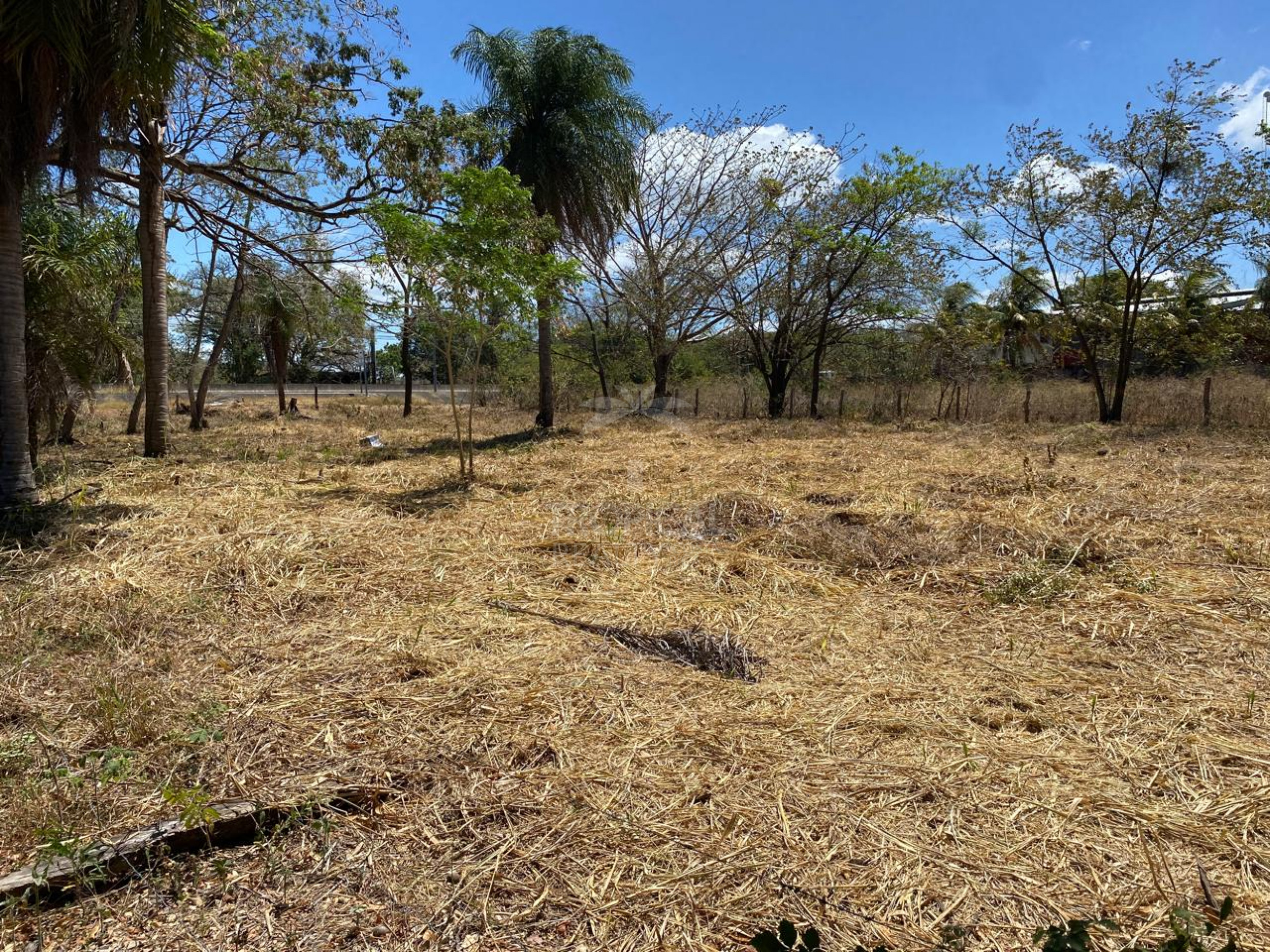 Commercial Lot for Sale in Liberia – Fronting the Interamericana Highway