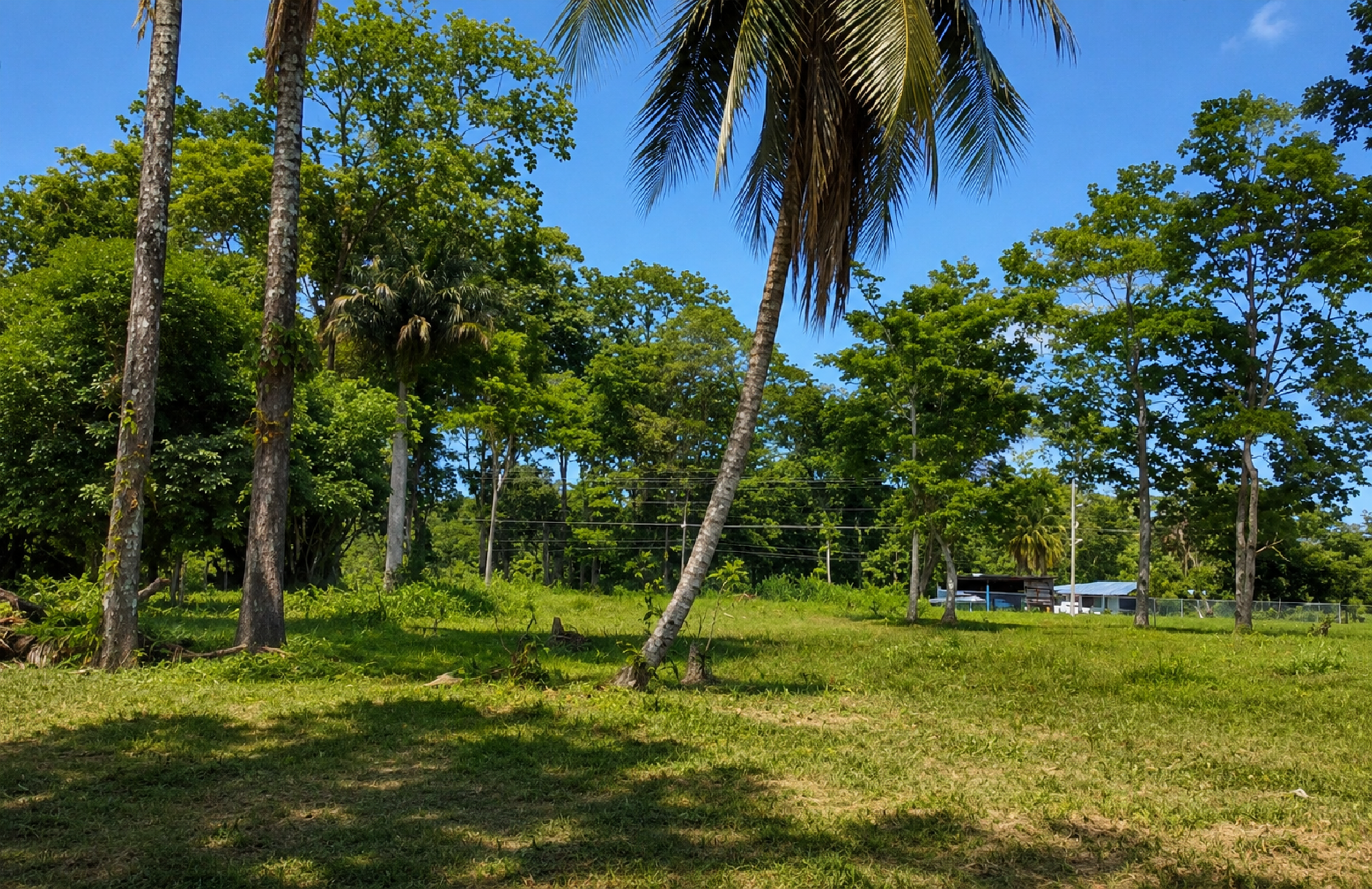 Large Development Property for Sale in Limón | 29.8 Hectares in Costa Rica’s Caribbean Region