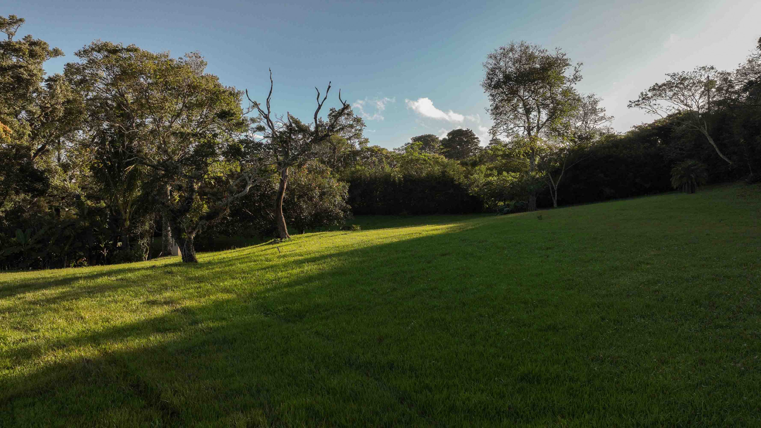 Exclusive 10.5-Hectare Development Parcel in Alto Las Palomas, Santa Ana – Unmatched Views & Privacy
