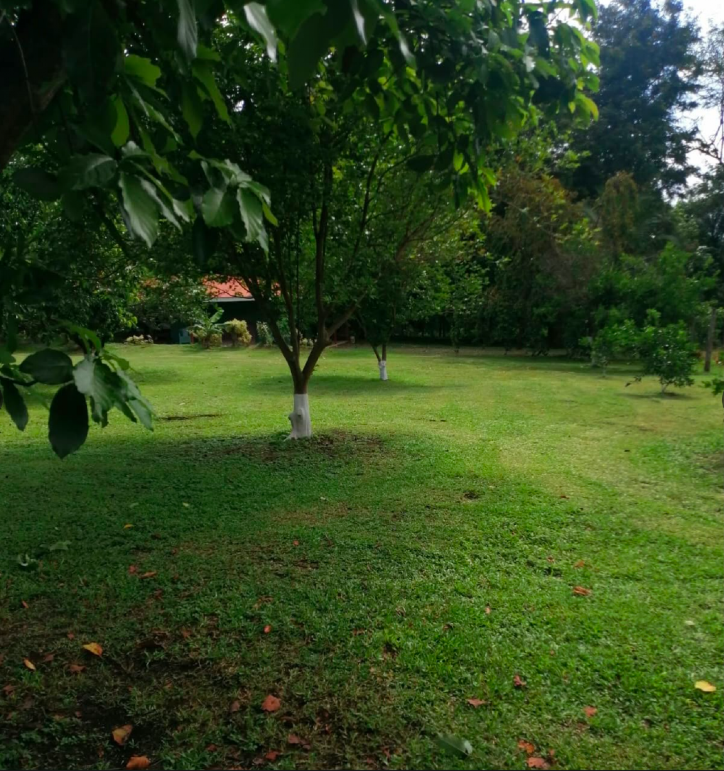 Country Estate for Sale in San Pablo de Turrubares – Nature, Privacy and Investment Potential