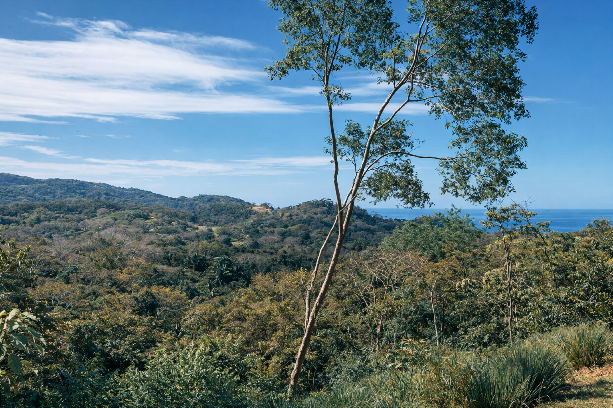 Ocean View Lot in San Isidro above Malpaís