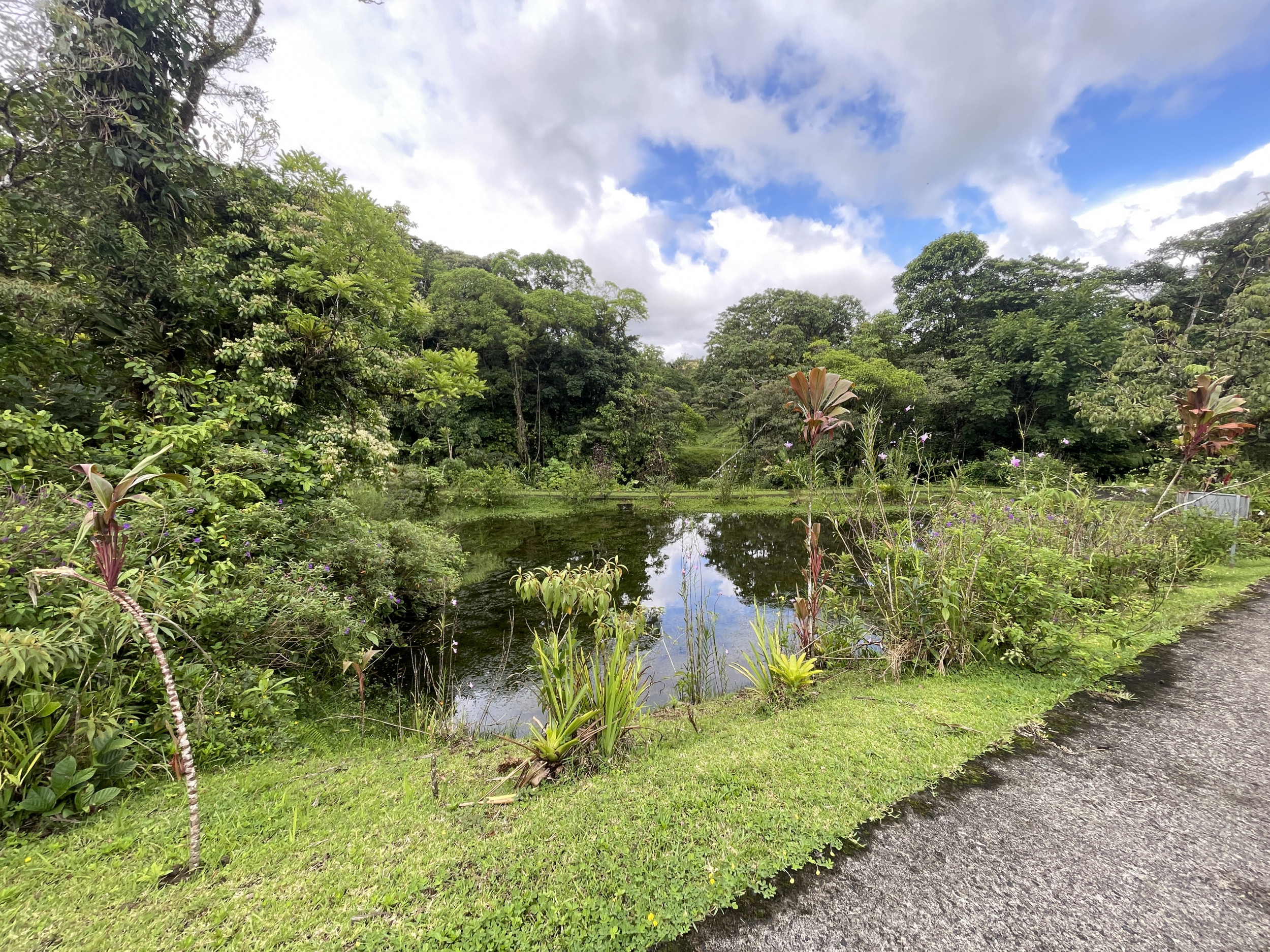 65-Acre Lakeview Property in Nuevo Arenal, Ideal for Family Residential Development
