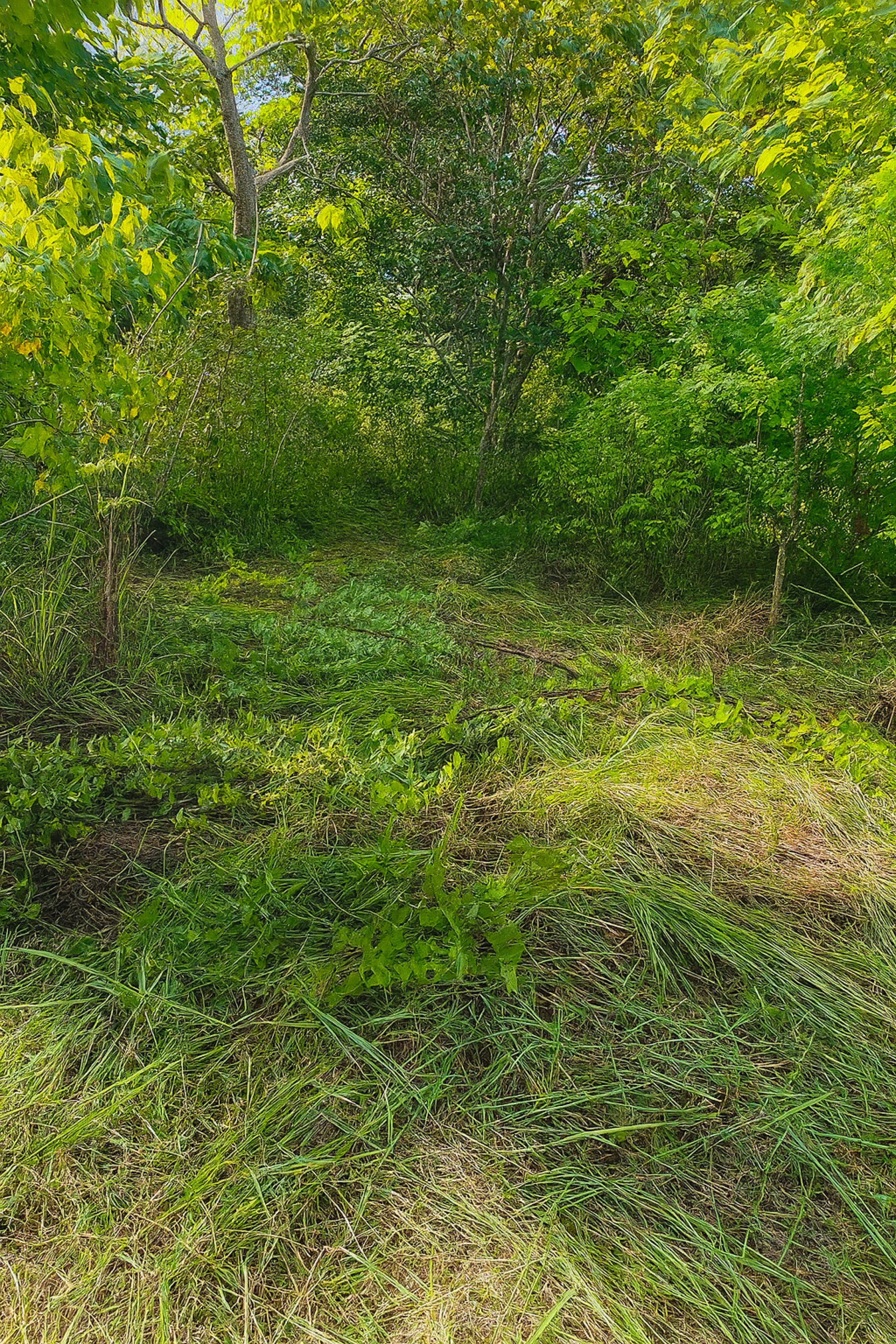 Prime Lot for Sale – Playa Marbella, Guanacaste, Costa Rica