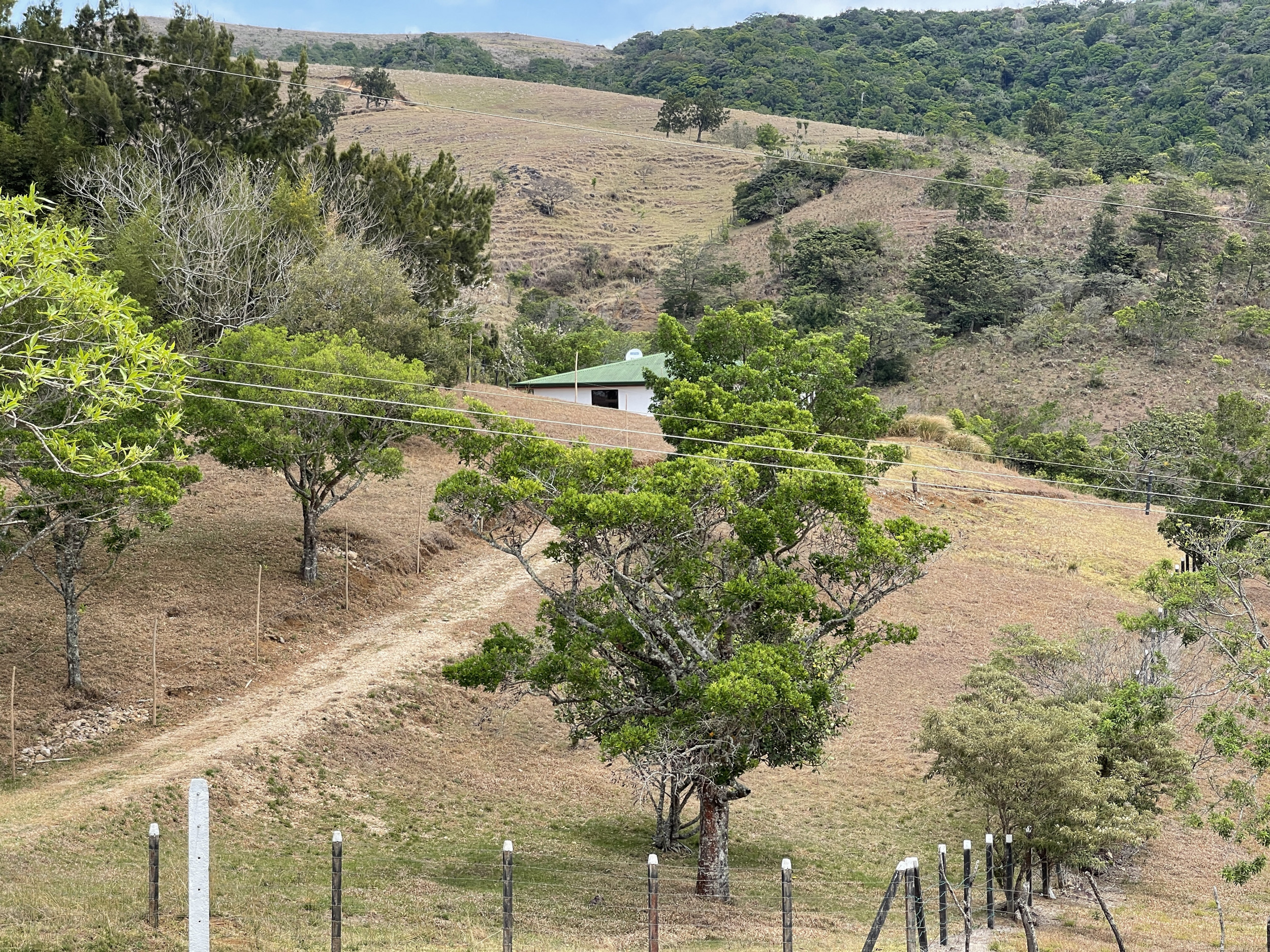 Last Chance: Scenic Lot in San Ramón for Only $69,000 – Urgent Sale!