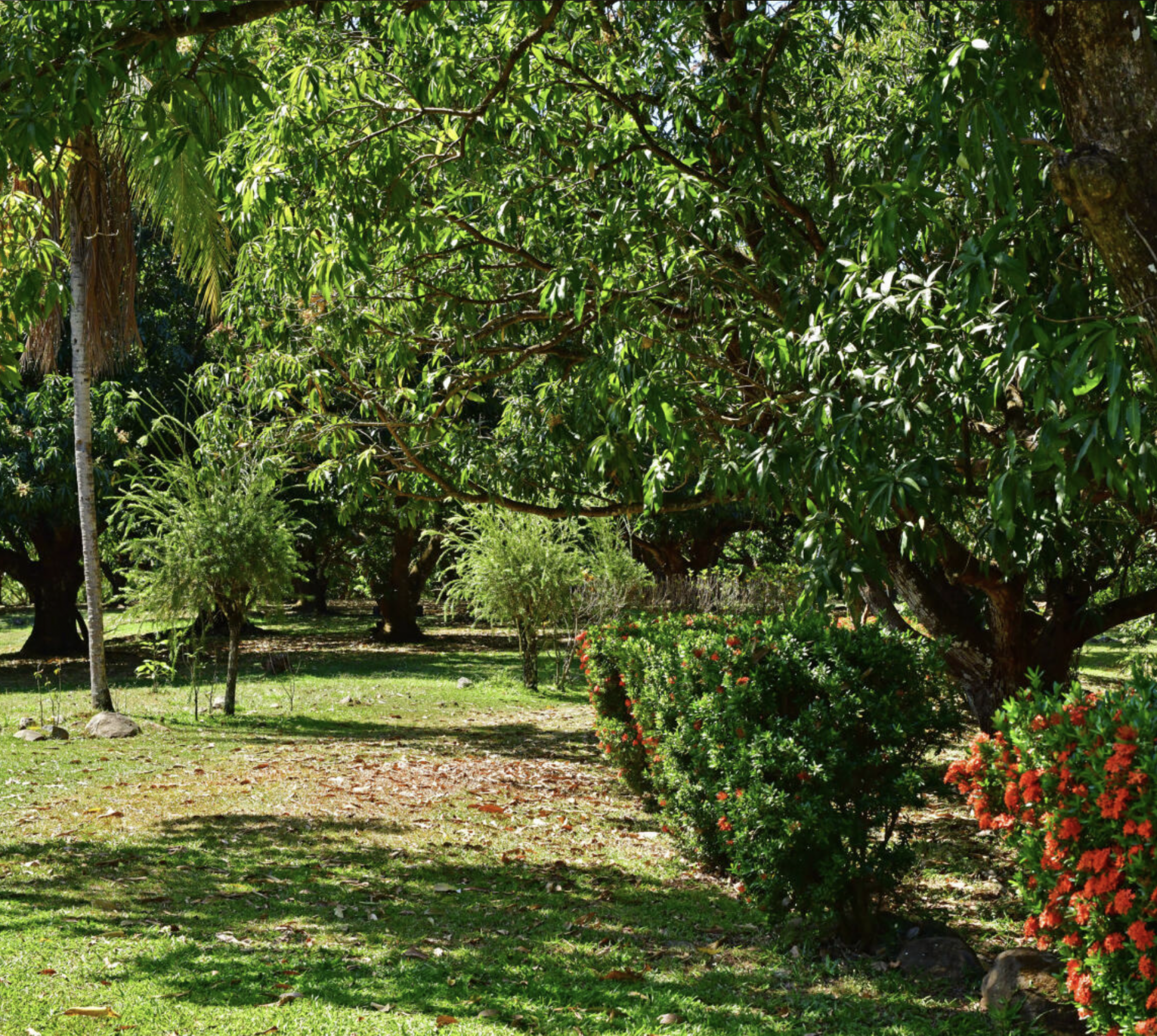 Exclusive Luxury Estate for Sale in Turrubares –  SOLD