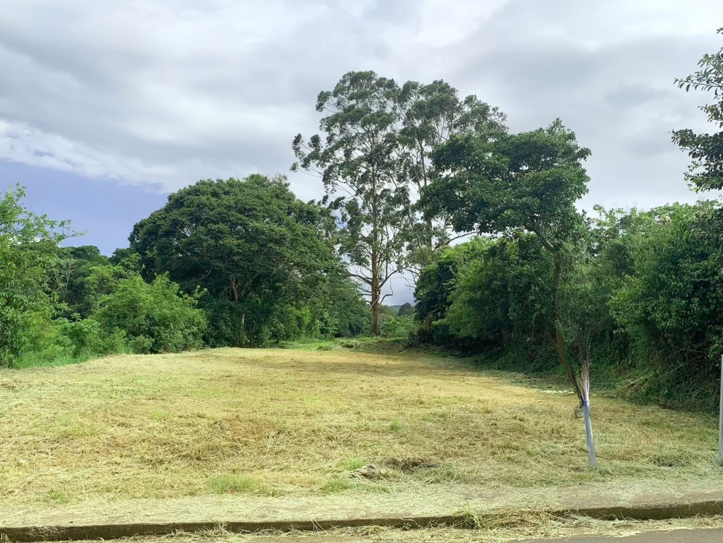 Multi-Use Land in Palmares: Ideal for Investment!