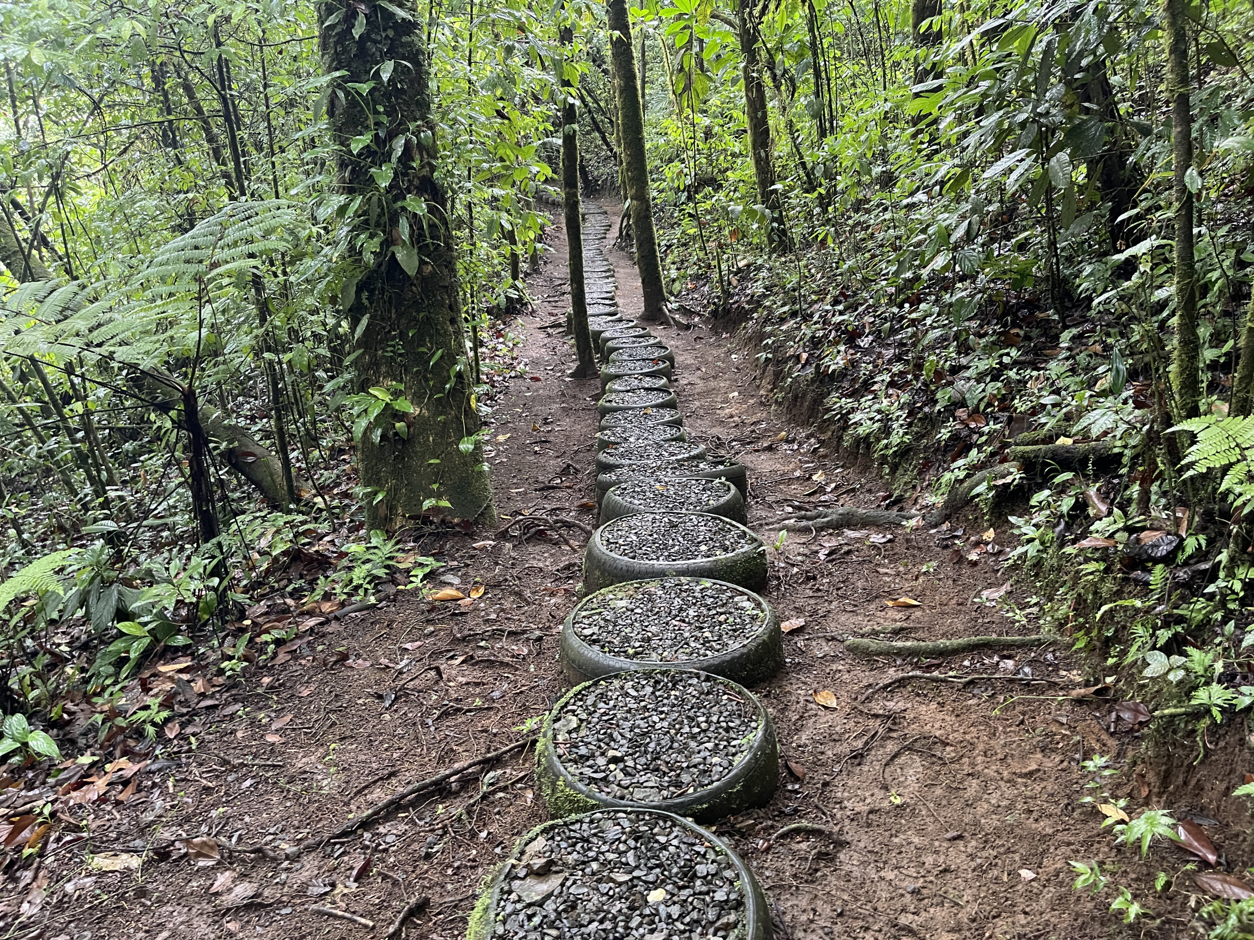 65-Acre Lakeview Property in Nuevo Arenal, Ideal for Family Residential Development