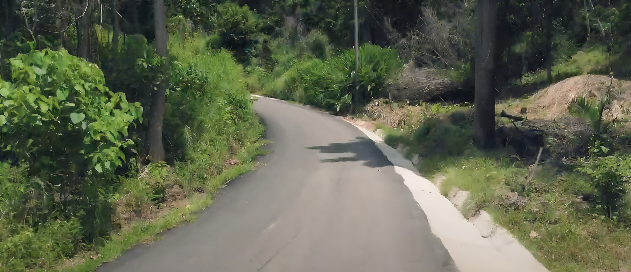 Blue Zone Lots for Sale in Costa Rica – Build Your Dream Beach Home