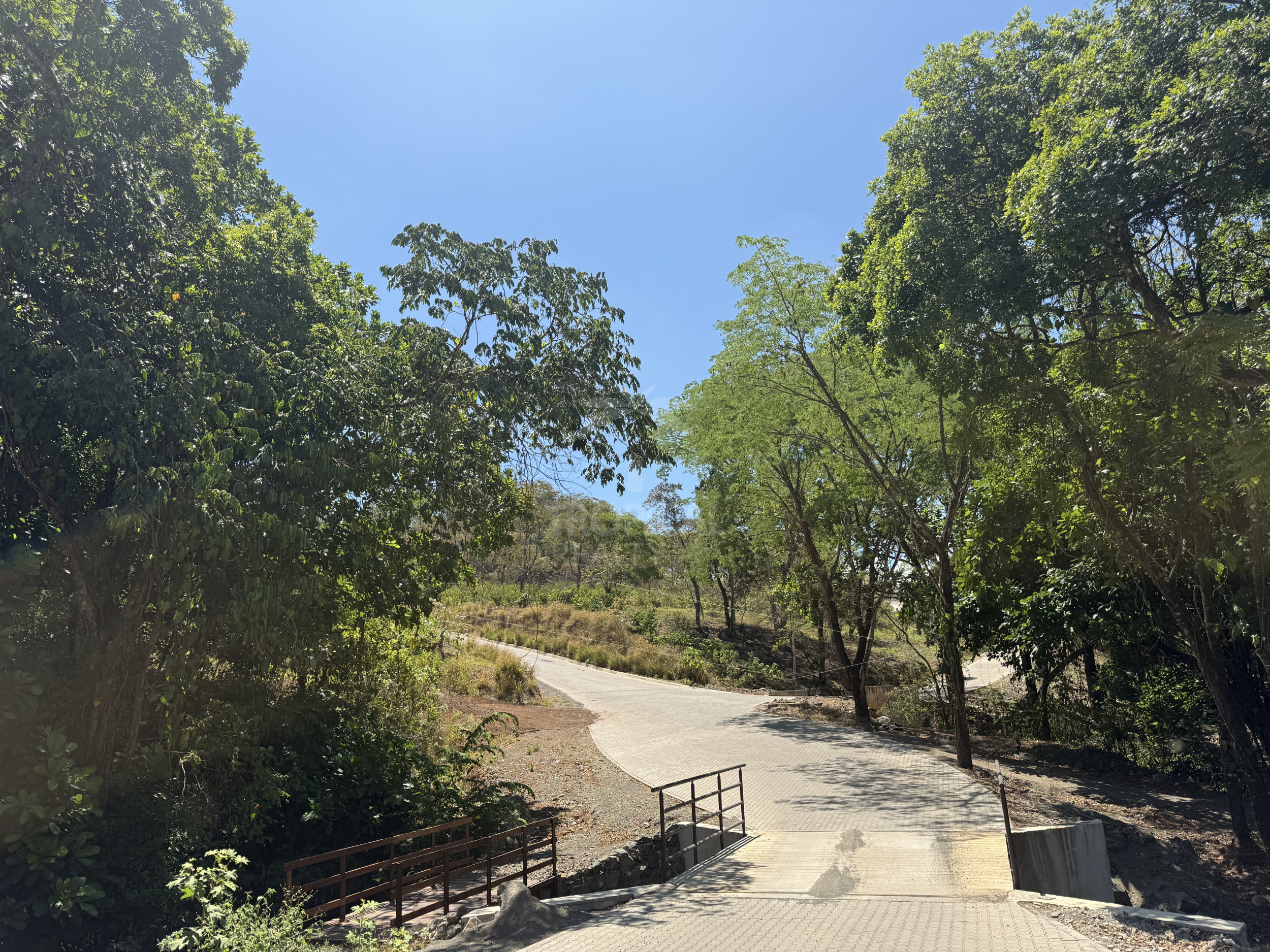 Corner Lot for Sale in Ecovilla San Mateo – Nature, Community & Conscious Living