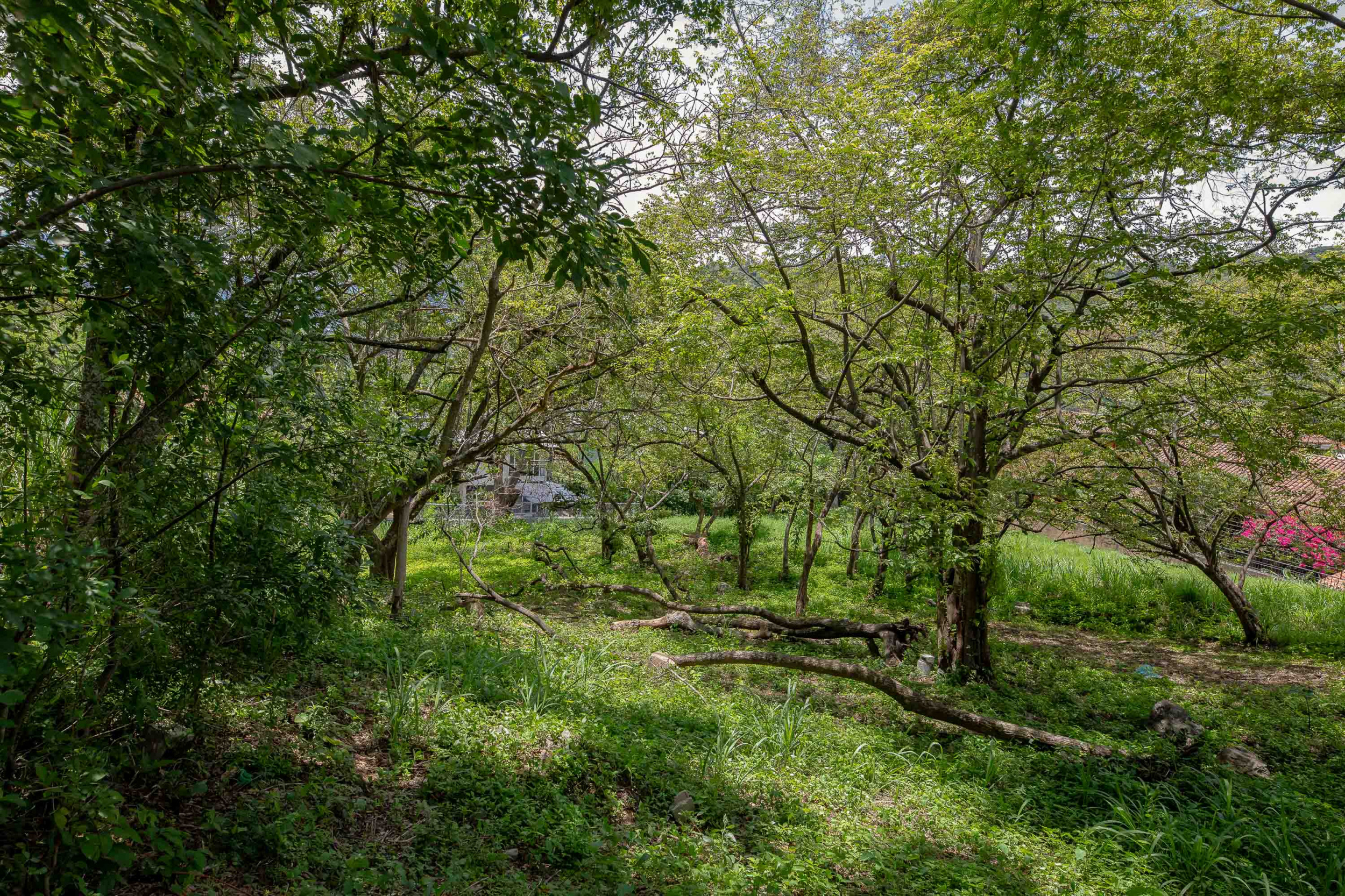 Residential Private Lush Lot in Rio Oro , Santa Ana
