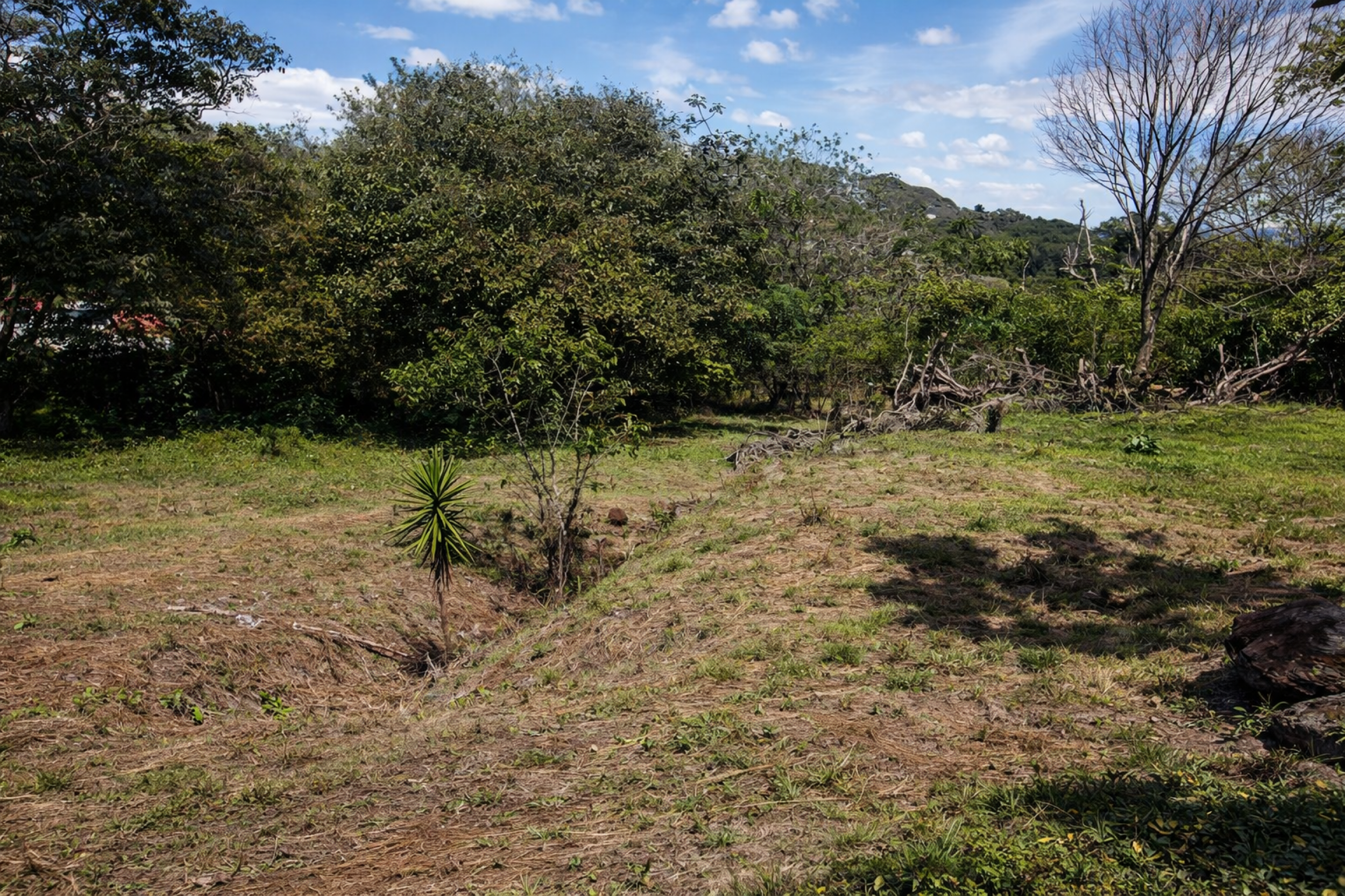 Development Land for Sale in La Garita – 37,000 m² with Commercial & Tourism Zoning