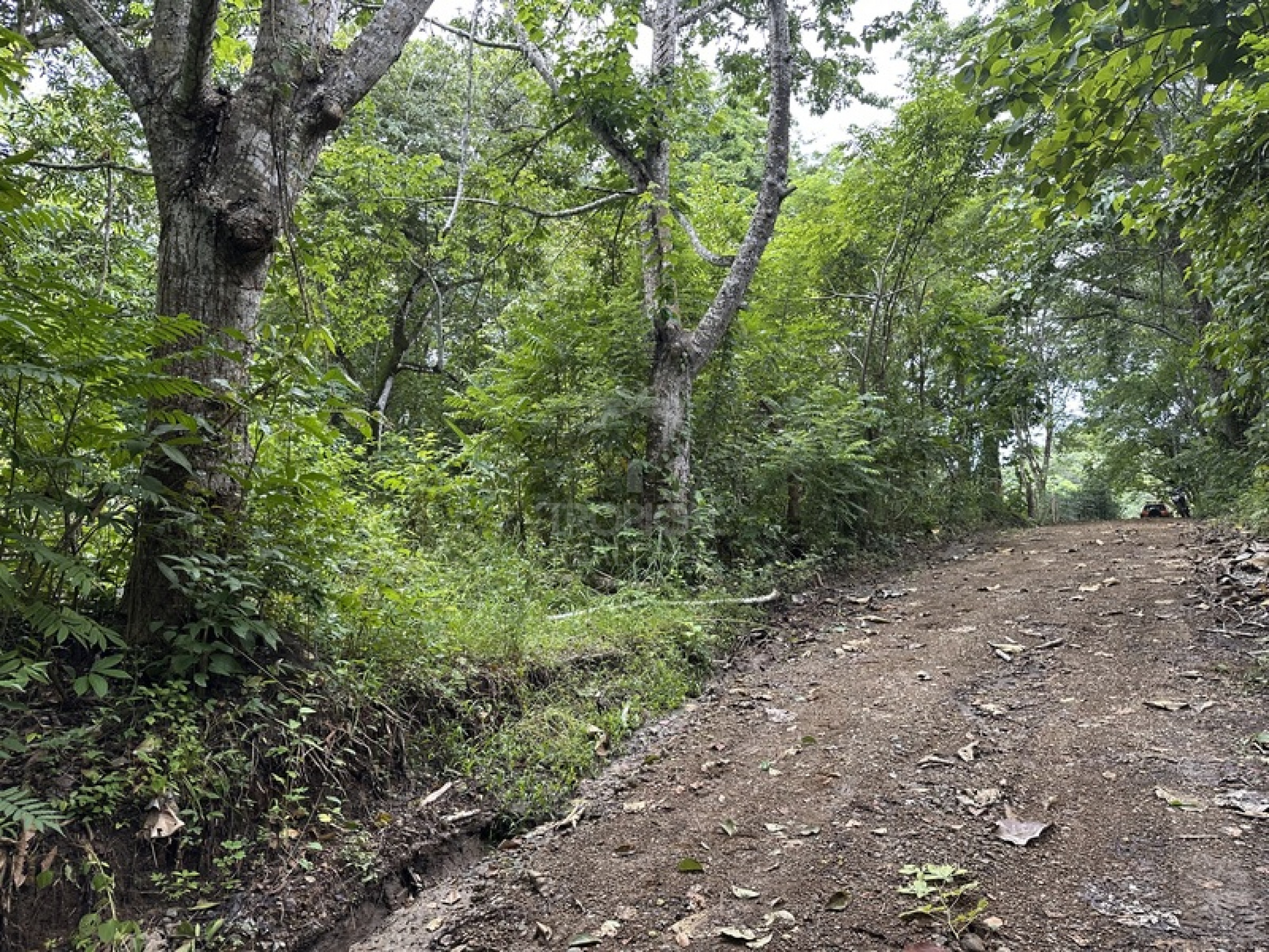 Exclusive Riverfront Lot Near the Beach in Manzanillo, Costa Rica