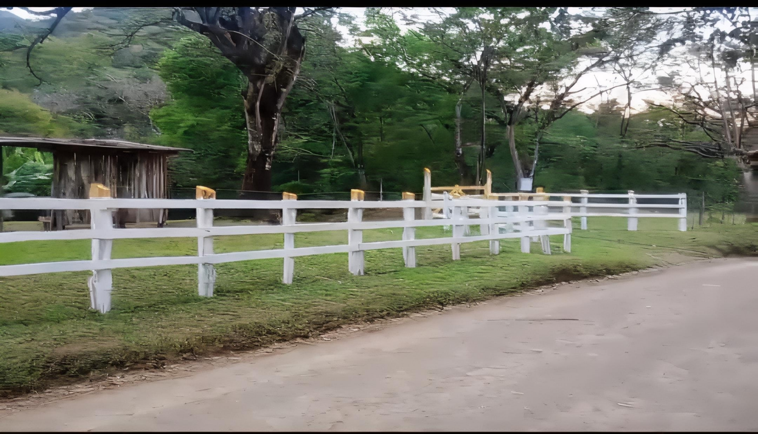 153-Hectare Ranch for Sale in Santa Cruz, Guanacaste – Natural Springs, Forest & Development Potential | $1,000,000