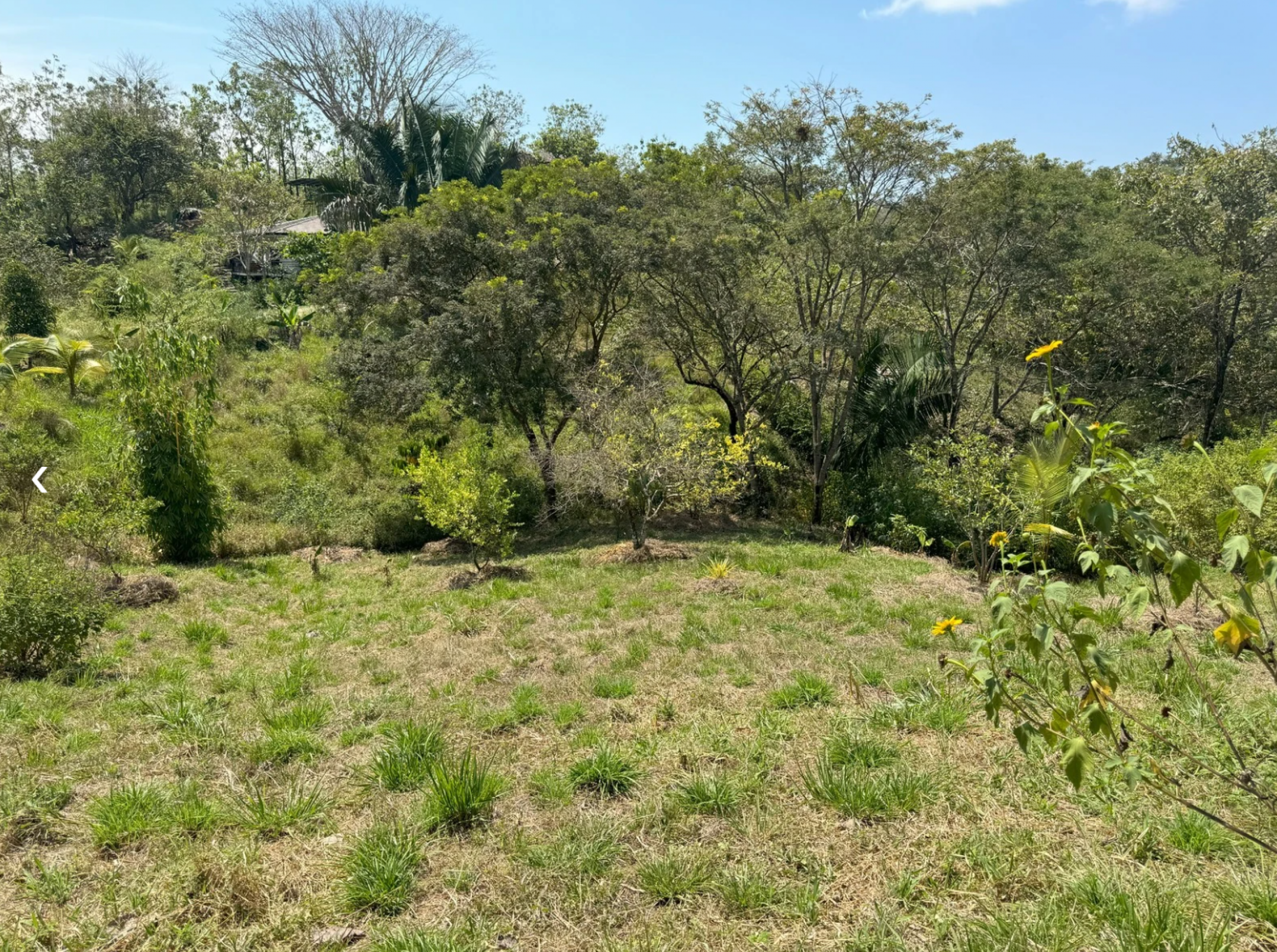 Regenerative Community Lot in San Isidro – Nature & Conscious Living