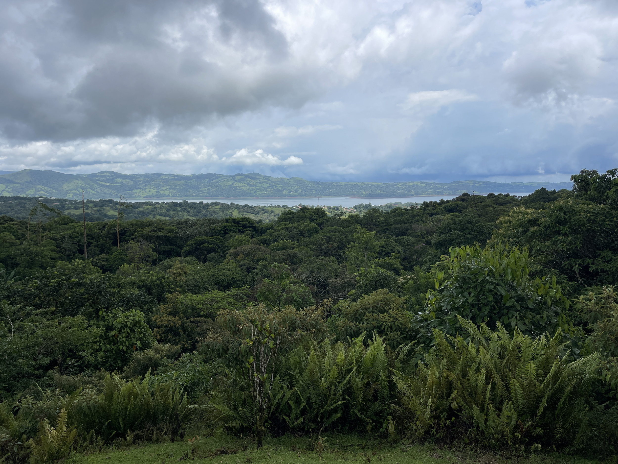 65-Acre Lakeview Property in Nuevo Arenal, Ideal for Family Residential Development