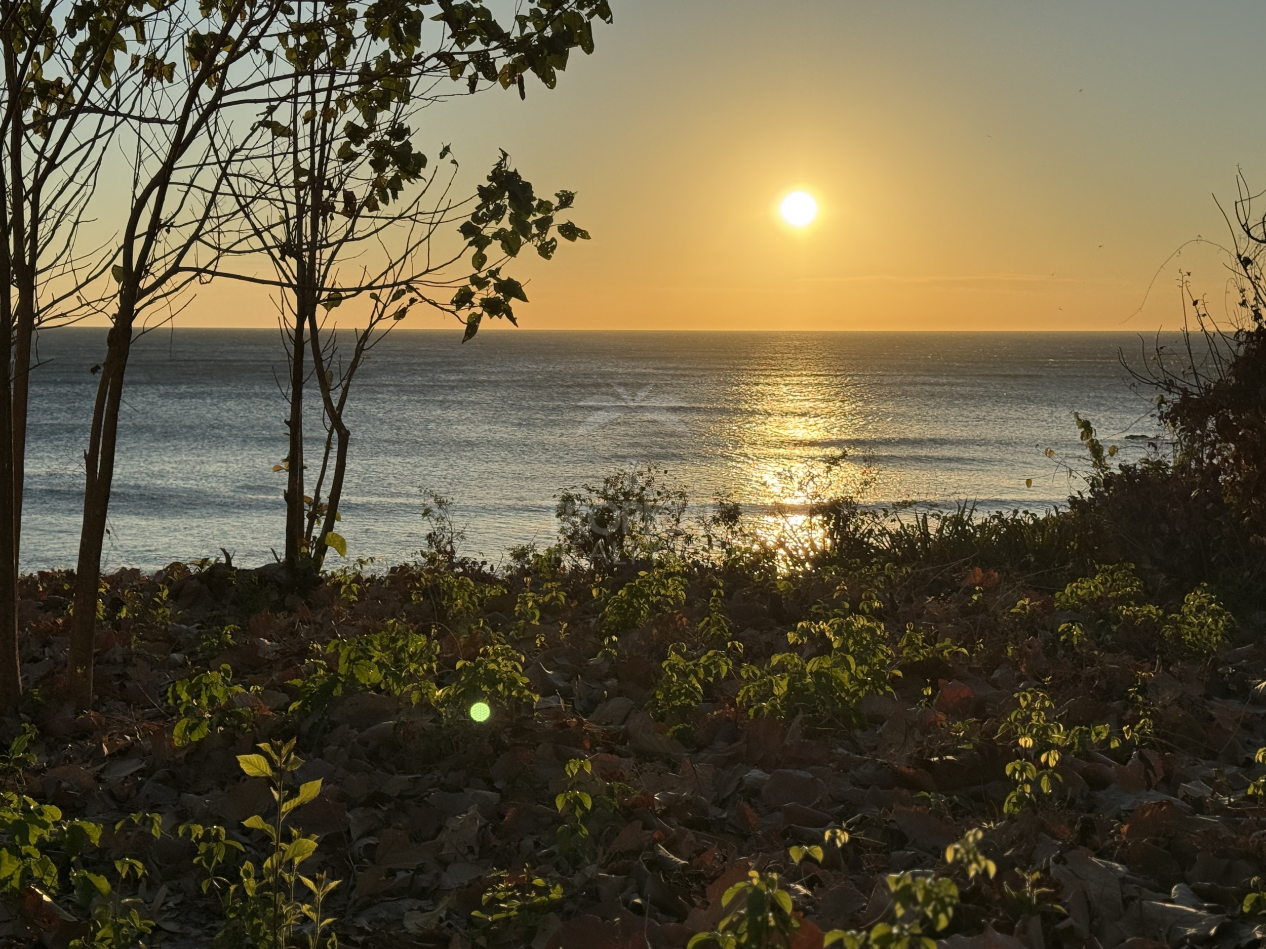 Unique Investment Opportunity – Beachfront Lot for Sale in Guanacaste