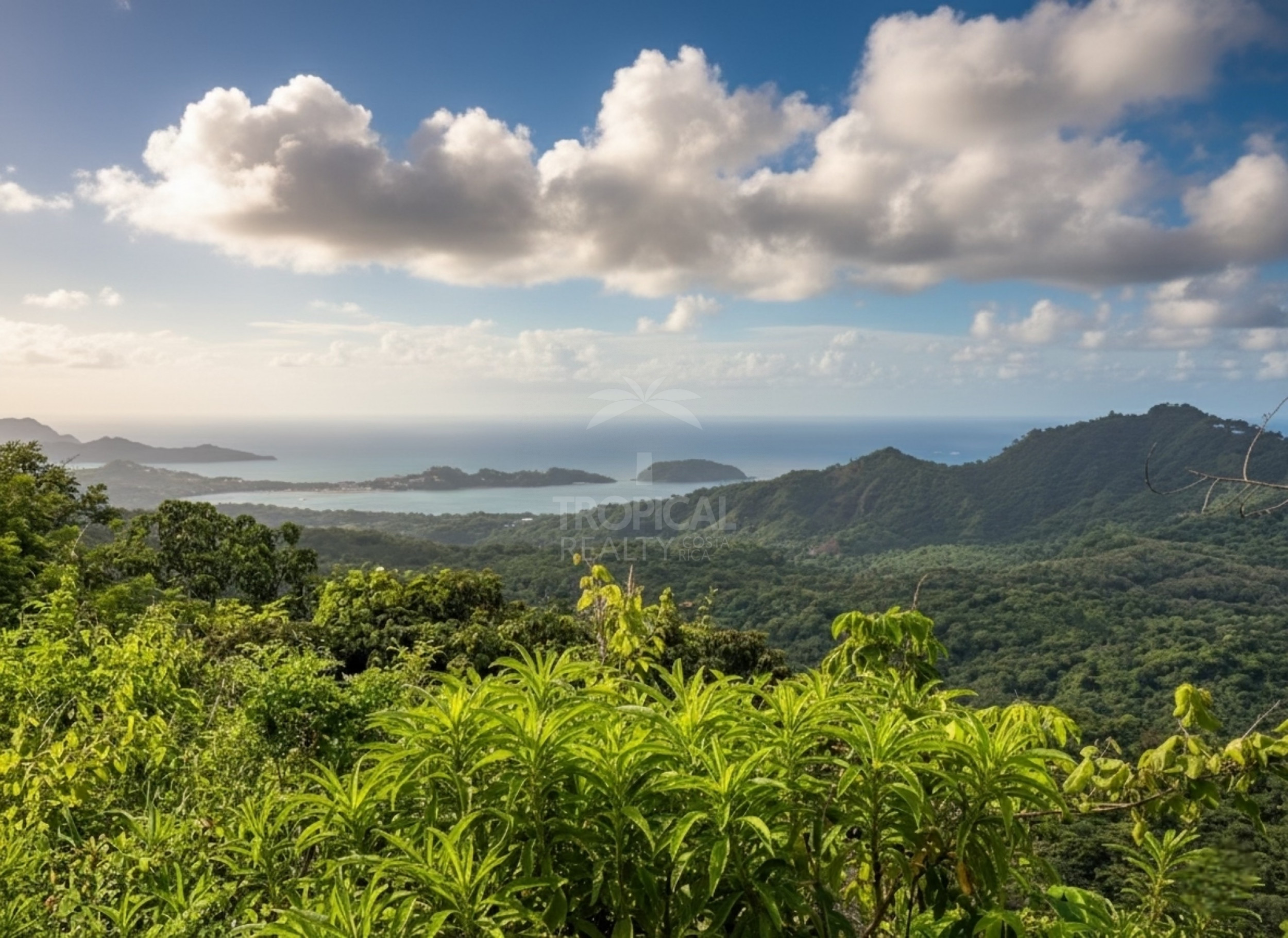 Nuevo Colon 1,24 acres - 5000m2 Estate with Panoramic Ocean Views in Guanacaste