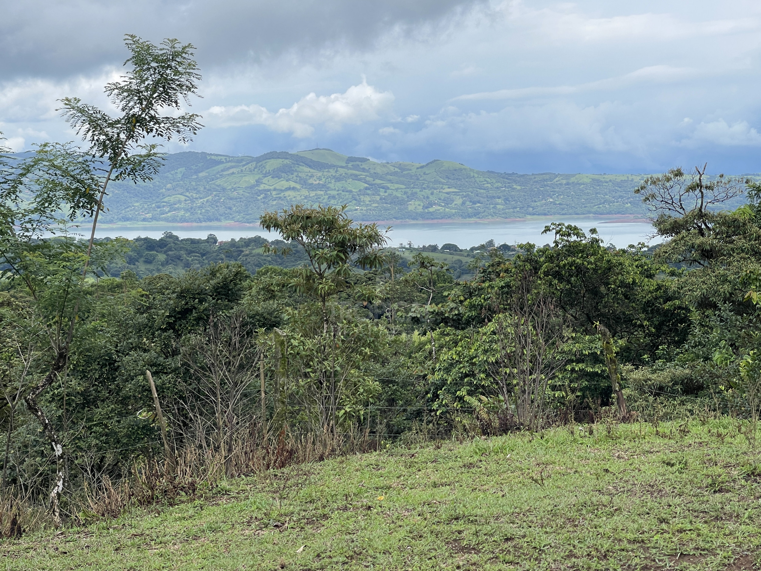 65-Acre Estate with Canopy Tour, Two Homes, horses, and Build-Ready Platforms
