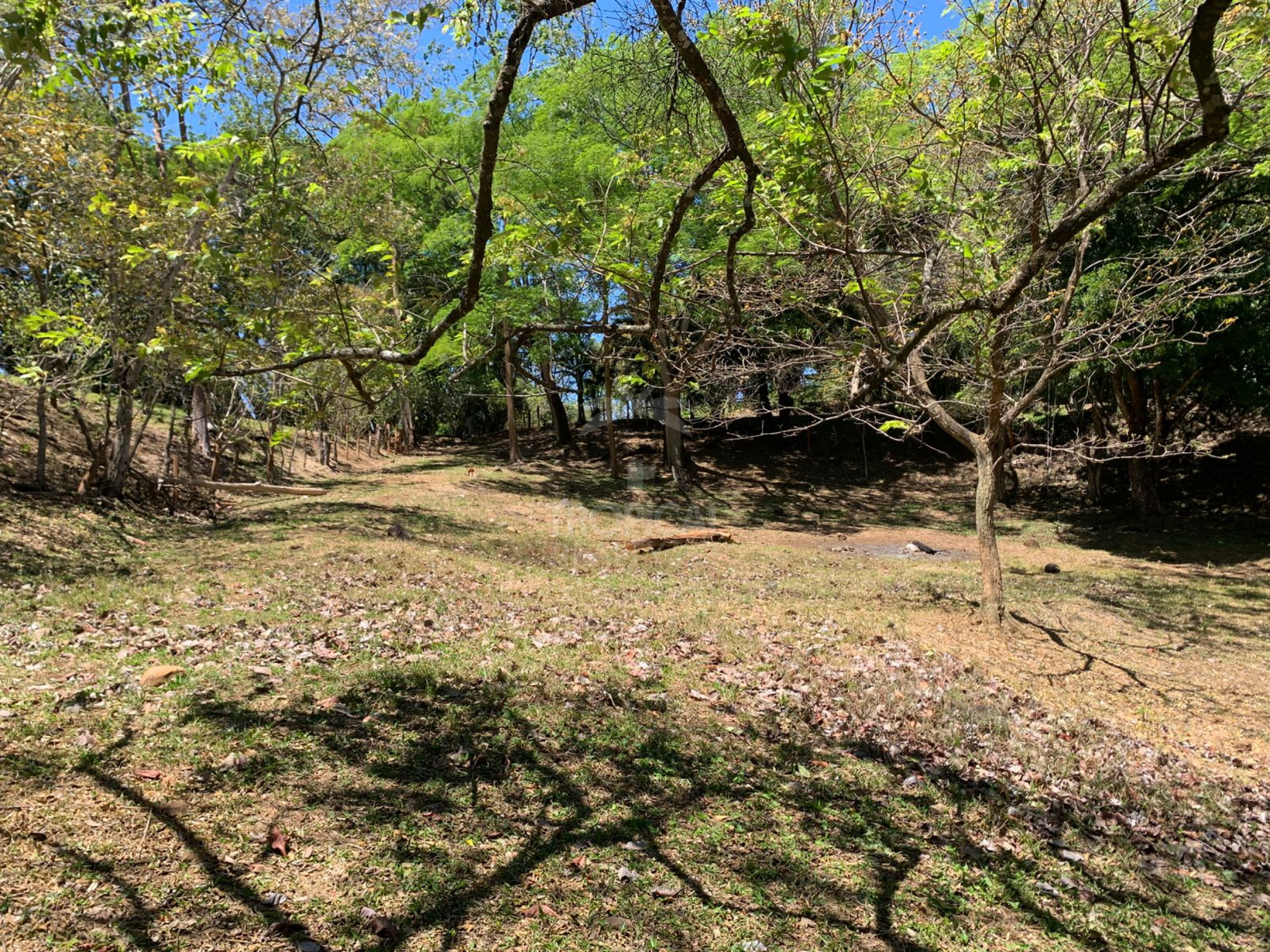 Farm for Sale in Turrúcares – Riverfront with Pools & Ecotourism Potential