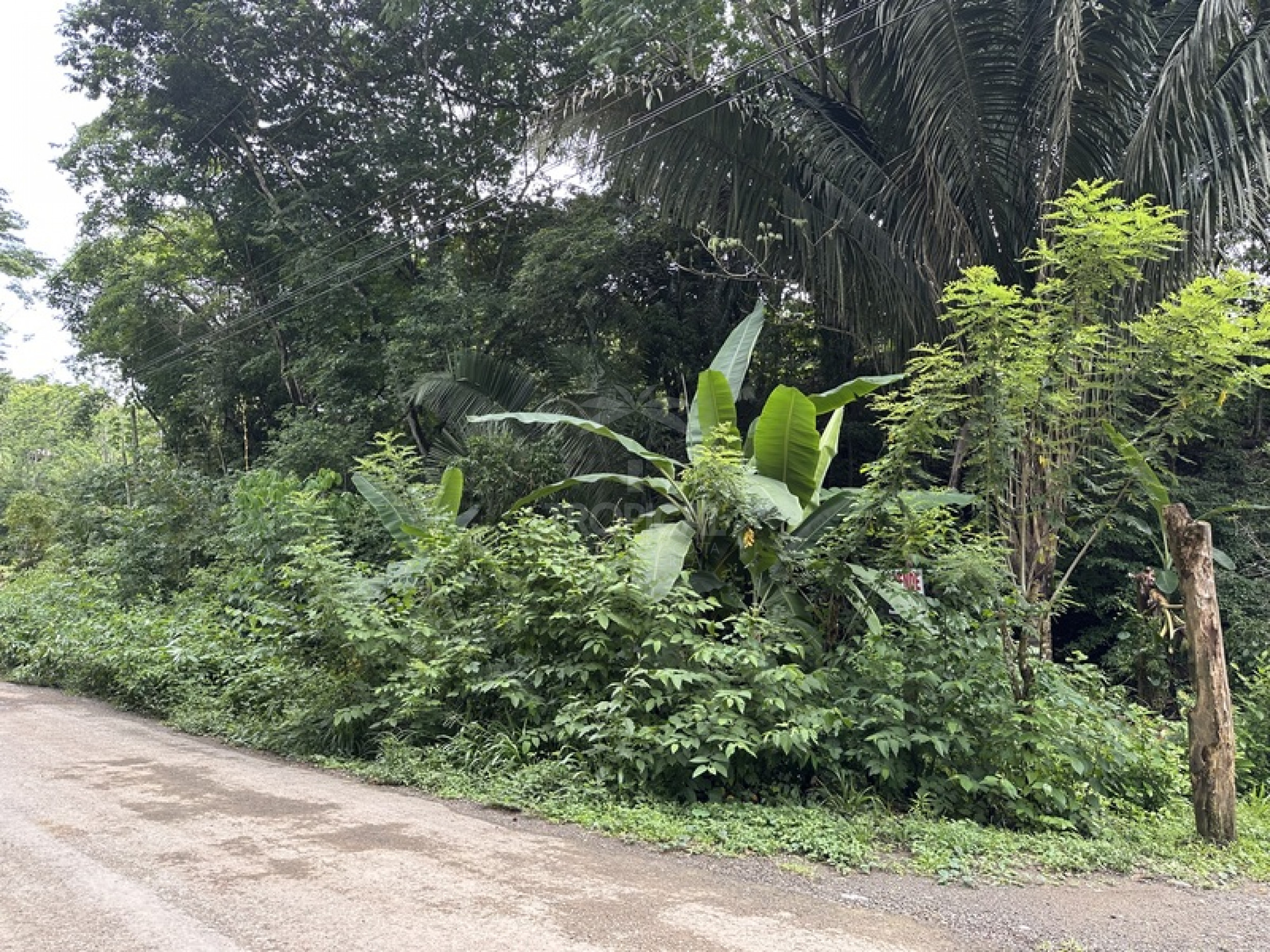 Commercial & Tourism Development Lot for Sale in Manzanillo, Costa Rica – Prime Location Near the Beach