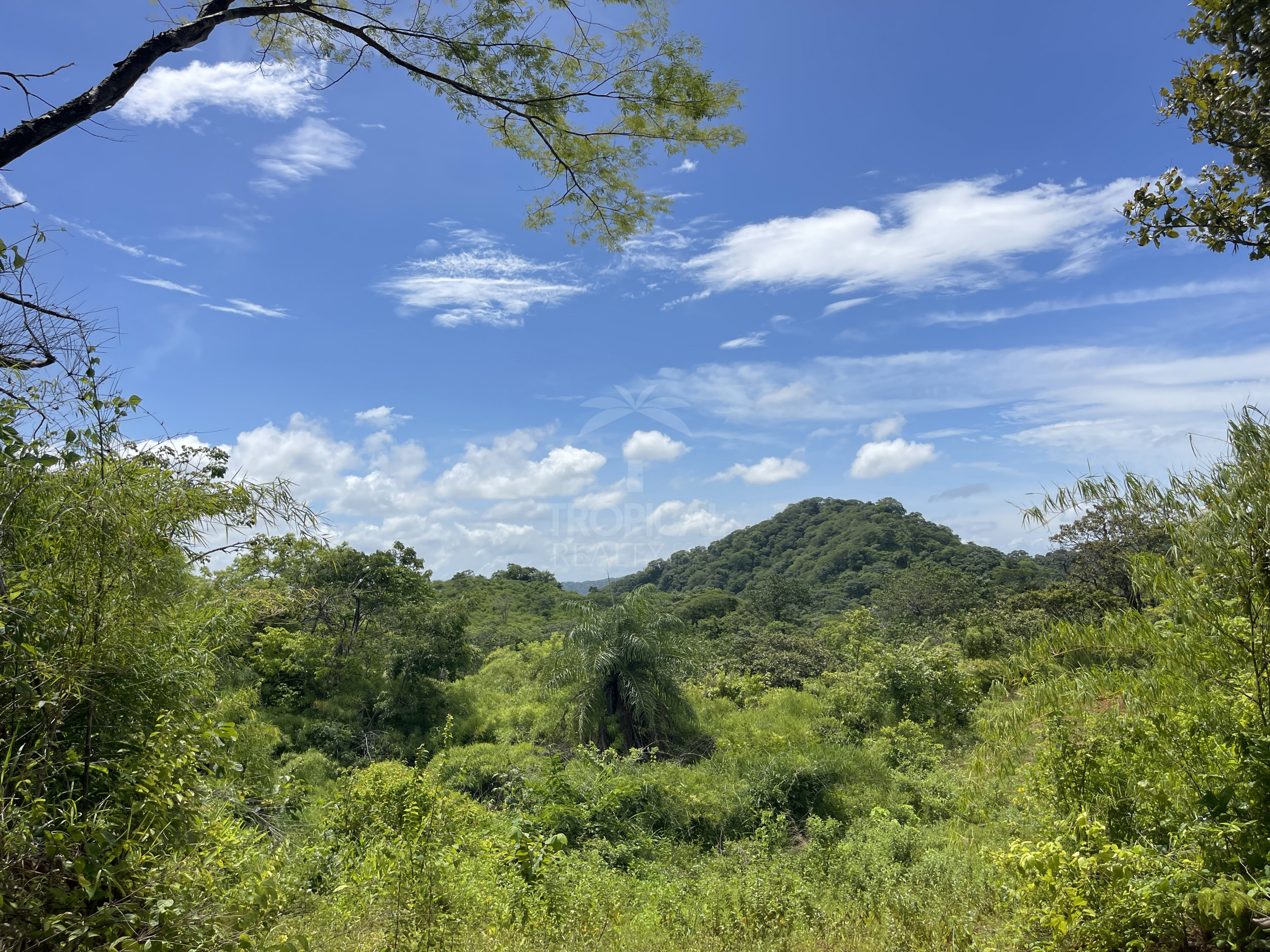 Nuevo Colon 1,24 acres - 5000m2 Estate with Panoramic Ocean Views in Guanacaste