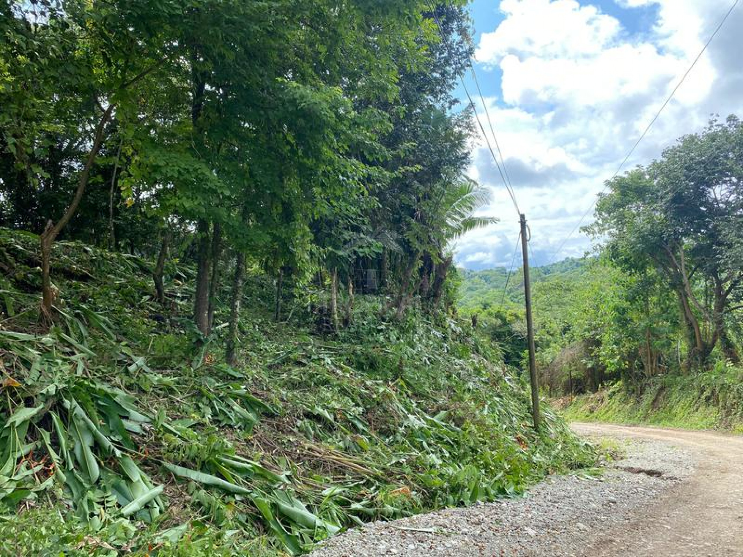 Strategic Commercial Lot in Cabuya – High Visibility and Outstanding Development Potential