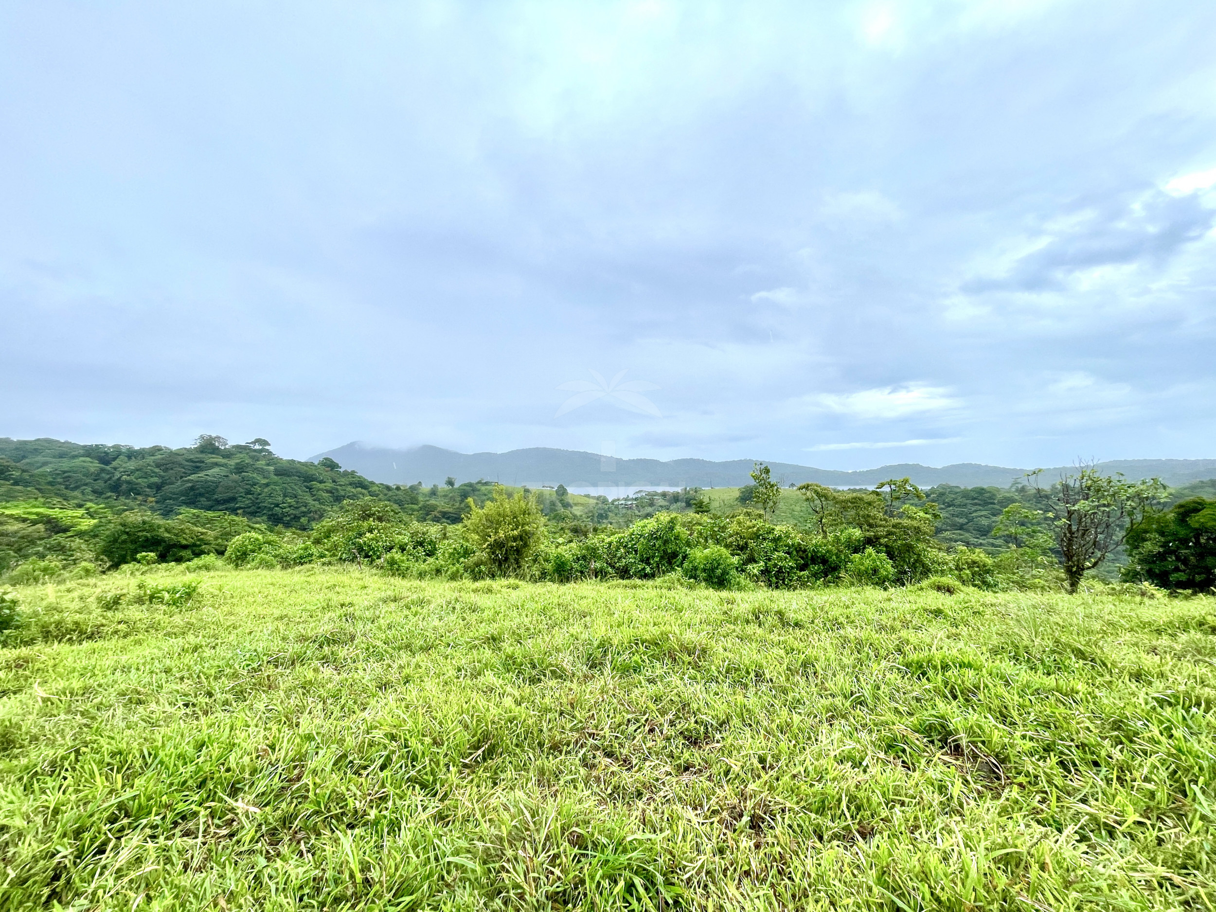 Arenal lake properties