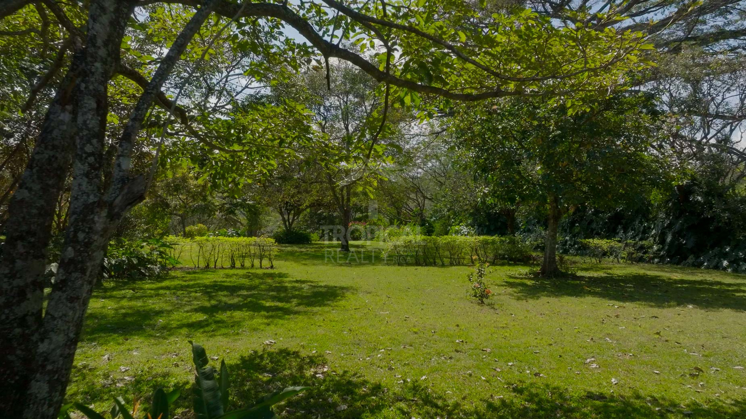 Prime Land for Development – La Guácima