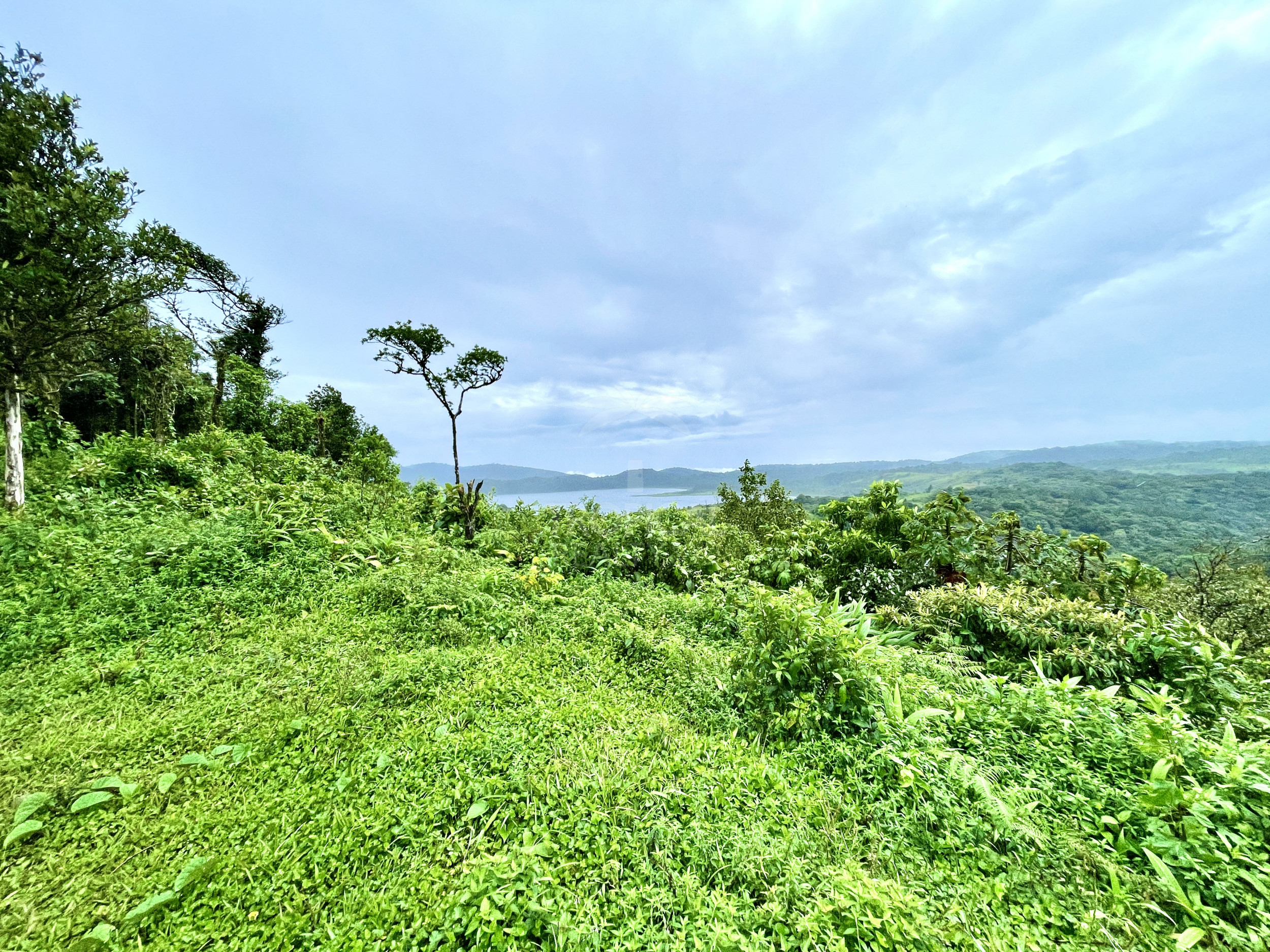 Arenal lake properties