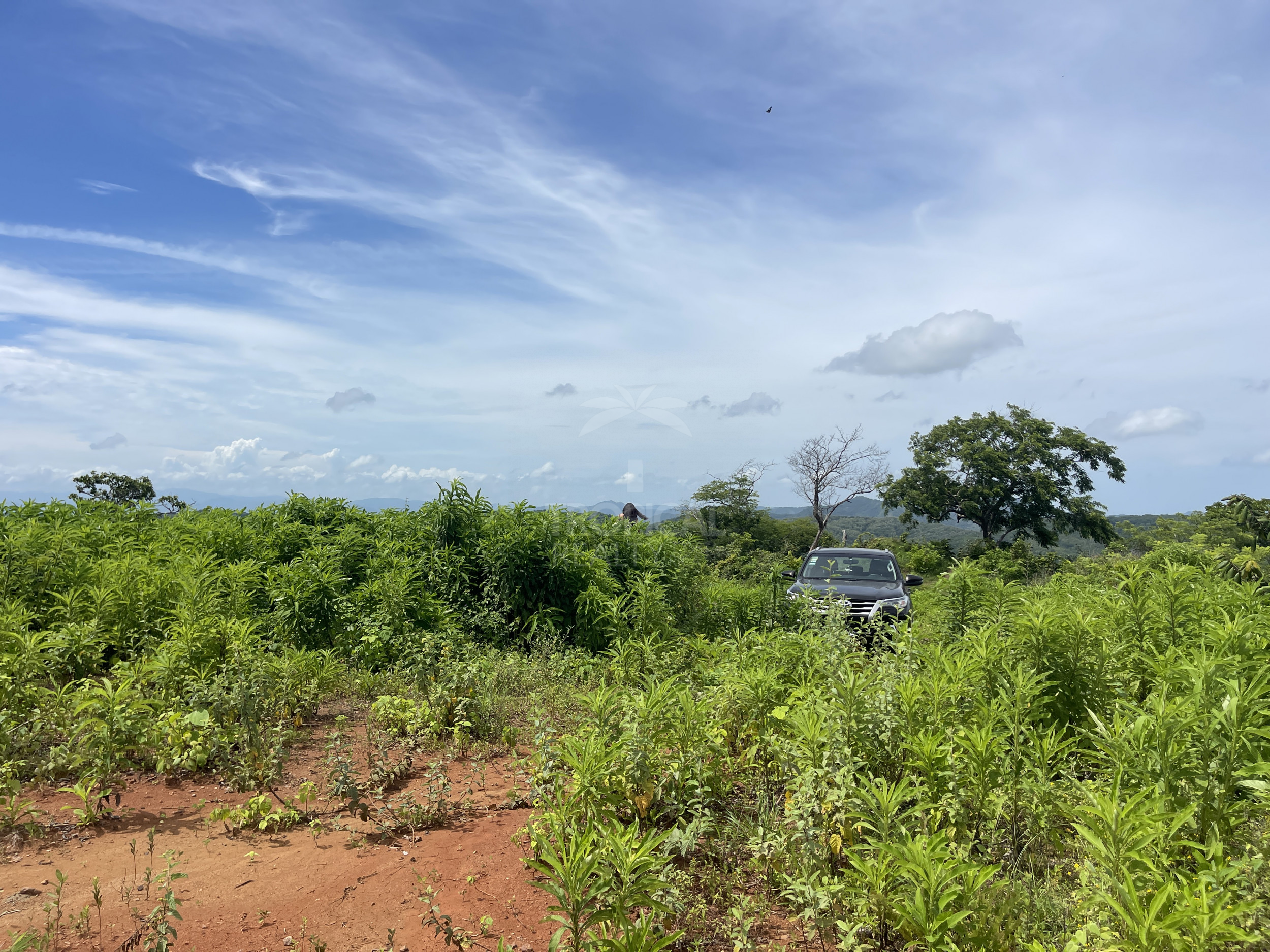 Nuevo Colon 1,24 acres - 5000m2 Estate with Panoramic Ocean Views in Guanacaste