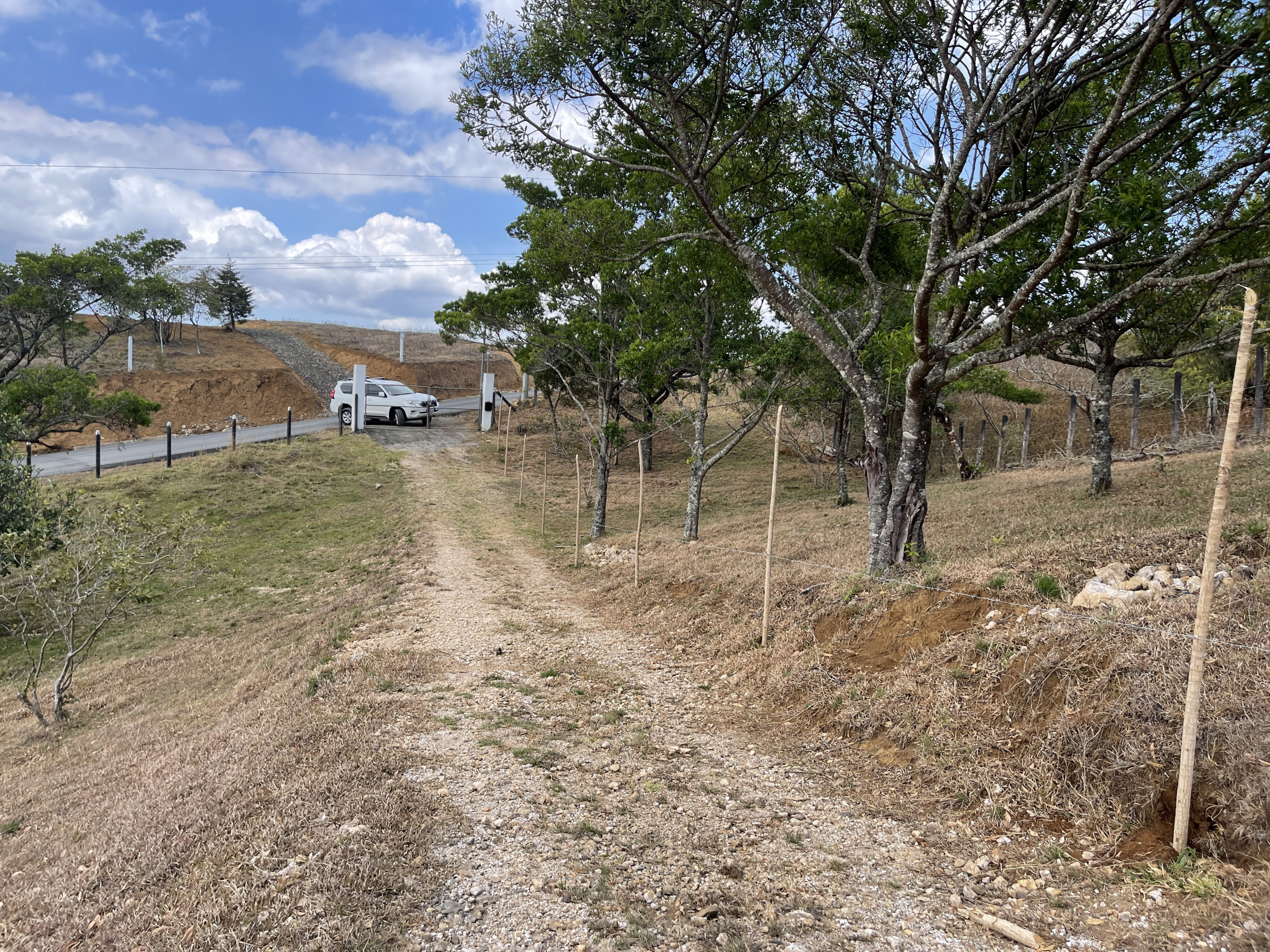 Last Chance: Scenic Lot in San Ramón for Only $69,000 – Urgent Sale!