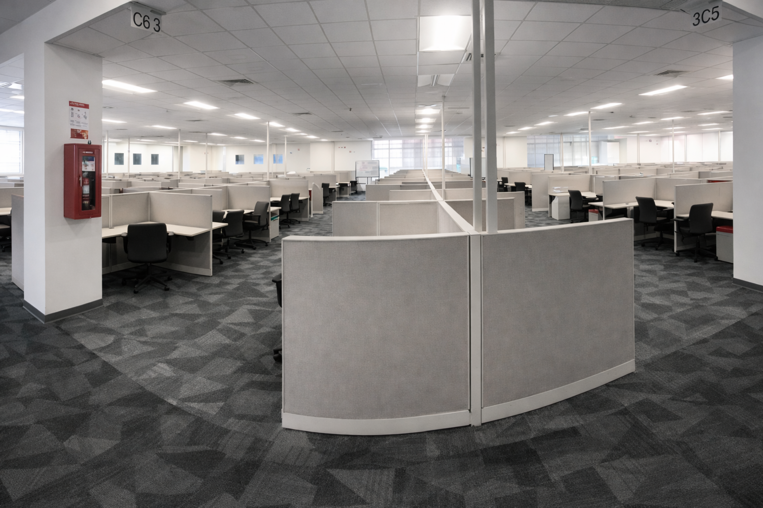 Corporate Office for Lease – Zona Franca del Este, Calle Blancos | 5,825 m²