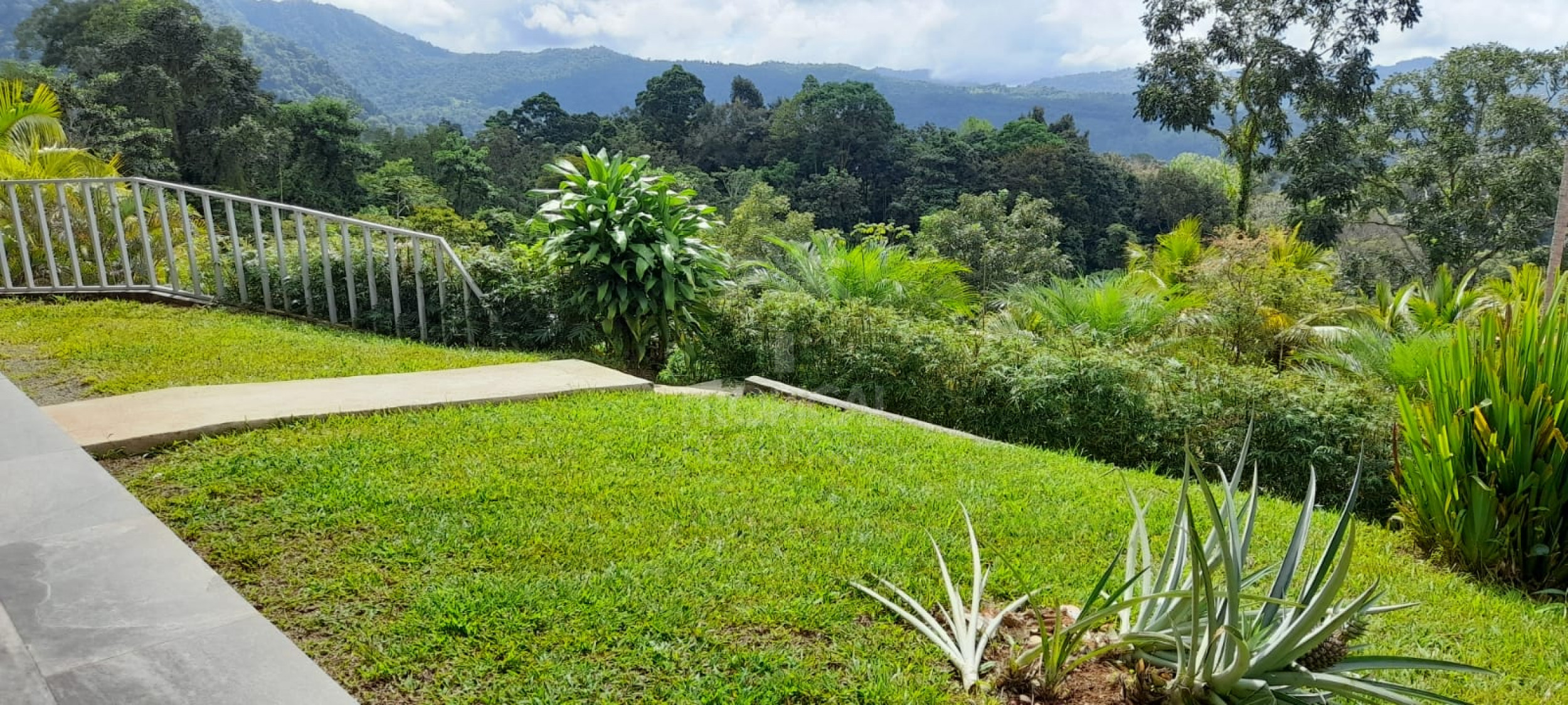 Ocean-View Boutique Hotel in Dominical – 13 Turn-Key Units on 1 Hectare