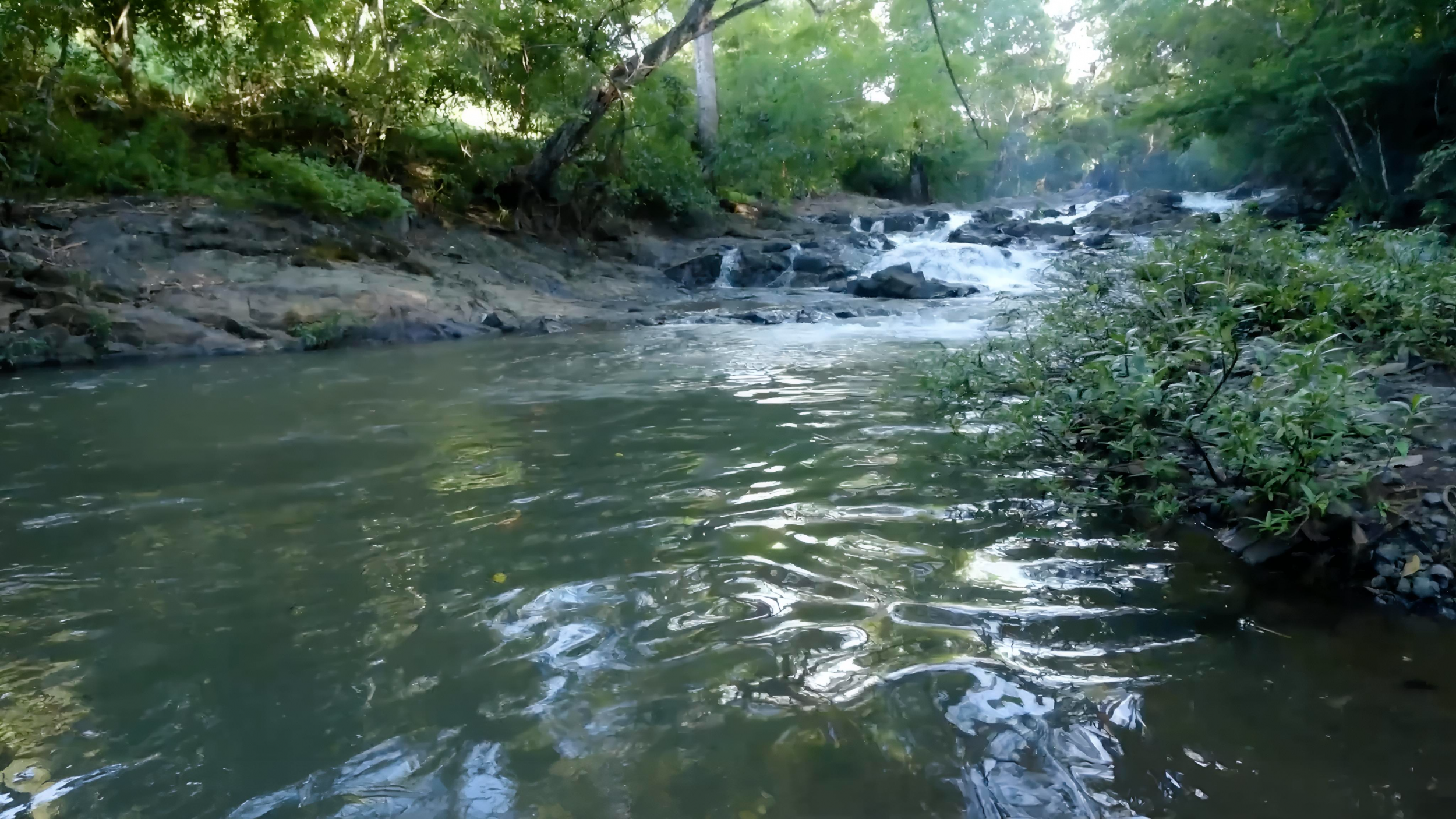 4.5-Hectare (11.27-Acre) Land for Sale in Curime, Nicoya | Rivers, Main Road Frontage & Blue Zone Living