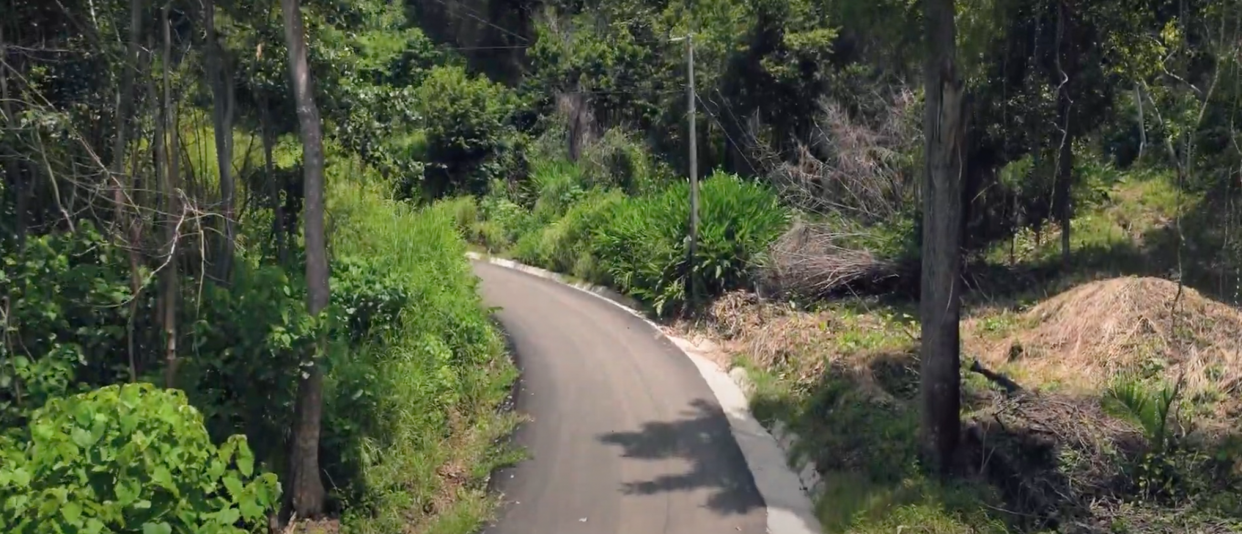 Blue Zone Lots for Sale in Costa Rica – Build Your Dream Beach Home