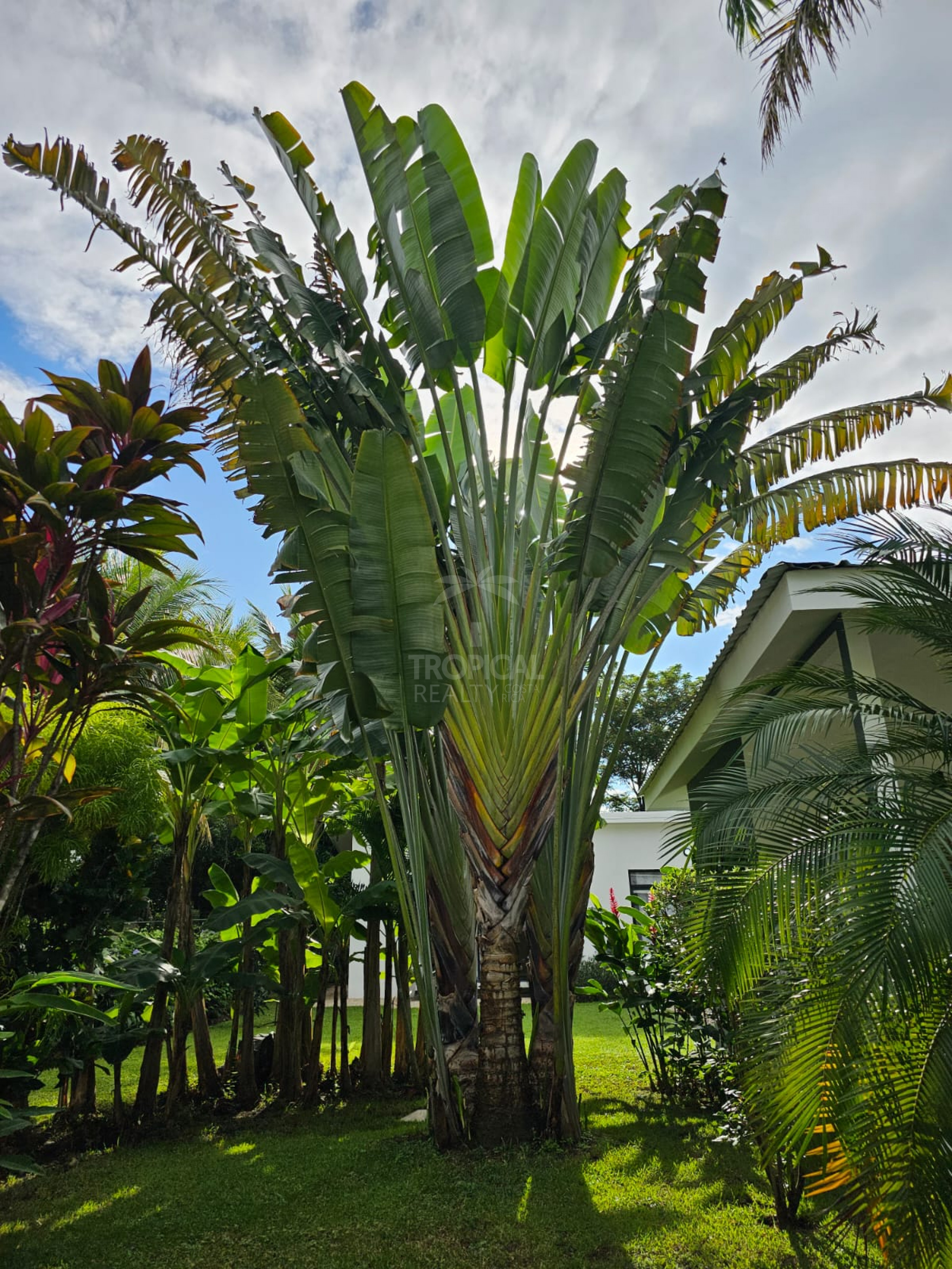 Luxury Bed & Breakfast Estate for Sale Near Playa Tamarindo – Prime Investment Opportunity