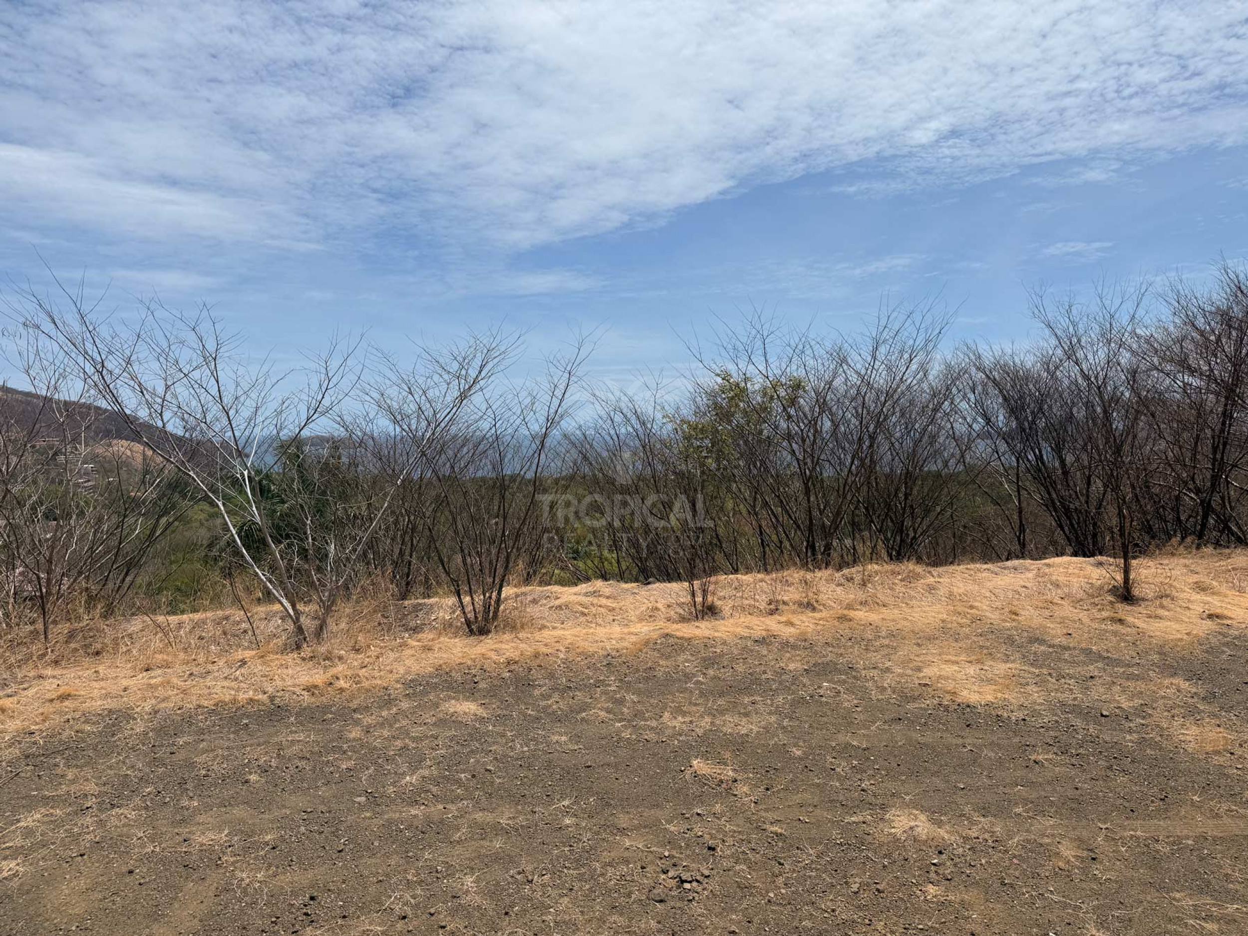 Premium Ocean View Homesite in Alta Vista, Playa Hermosa